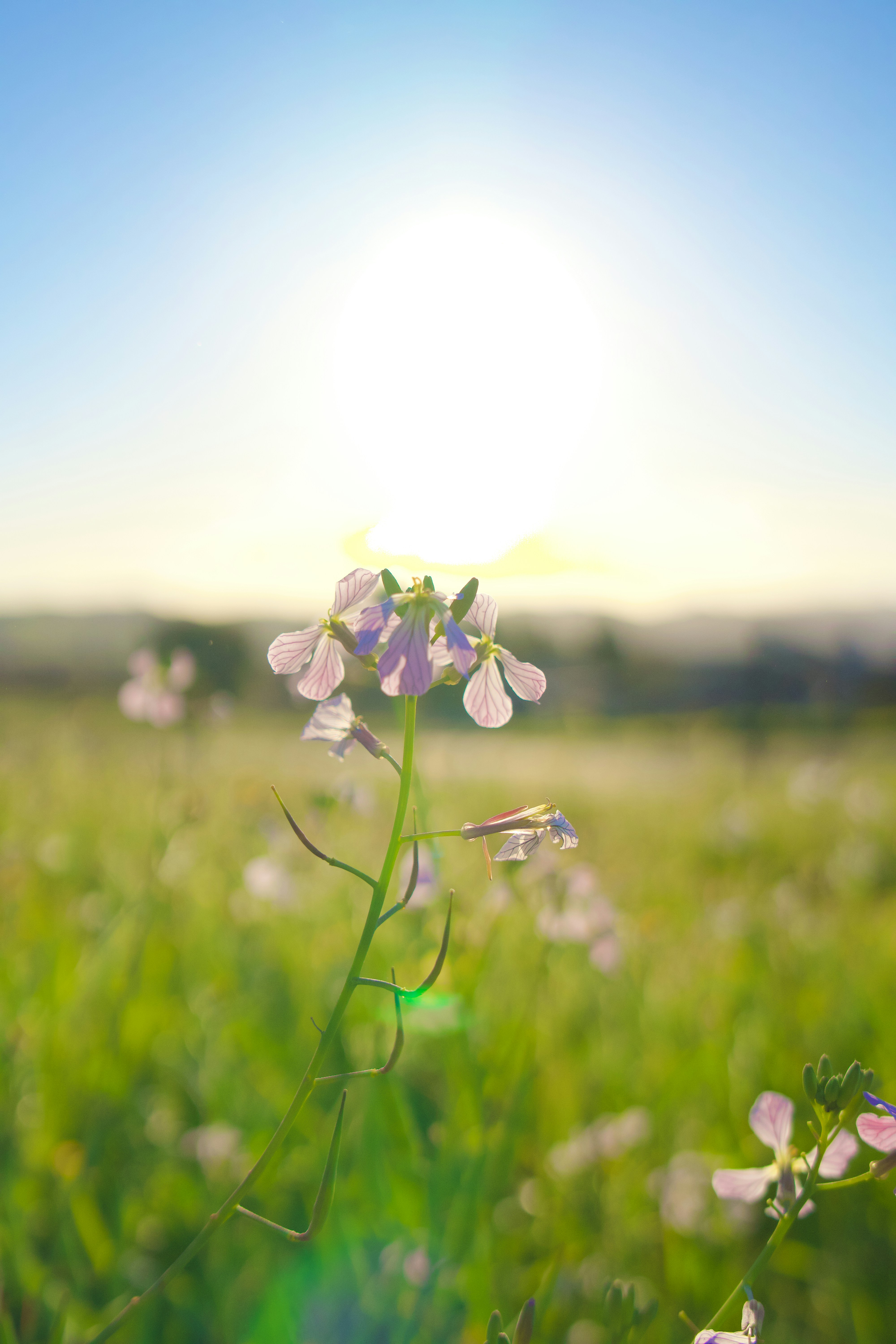 Photo by spencer_demera