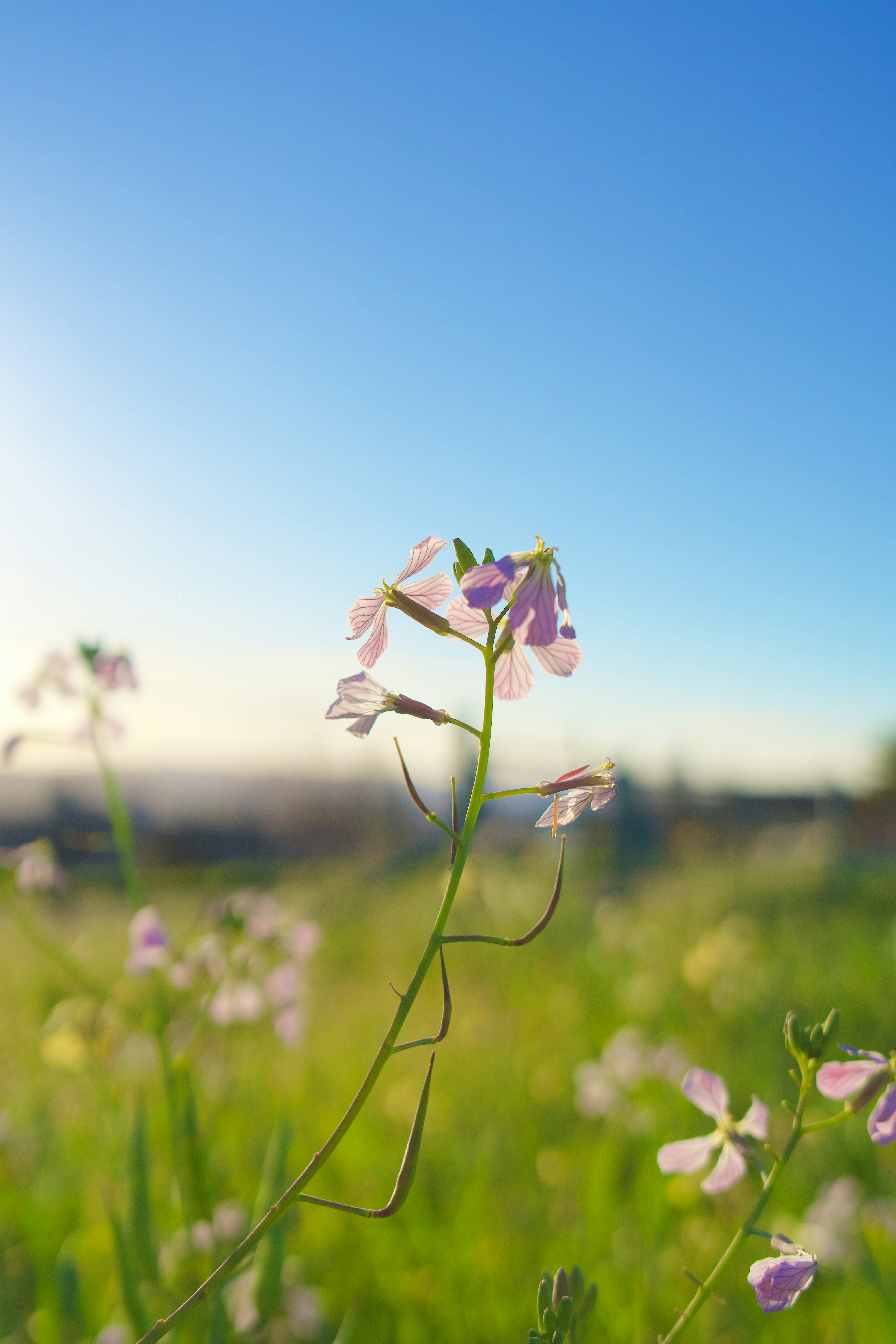 Photo by spencer_demera