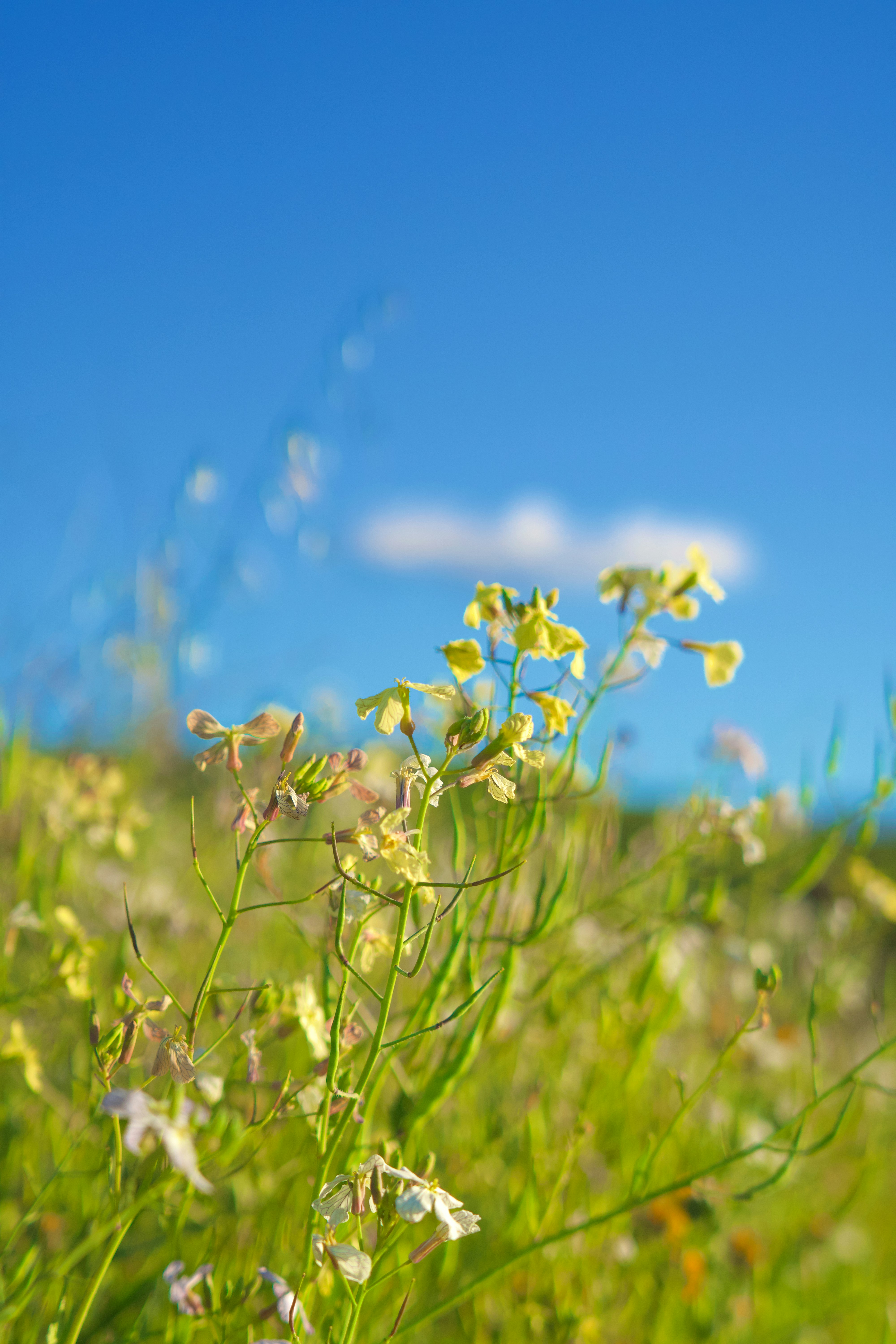 Photo by spencer_demera