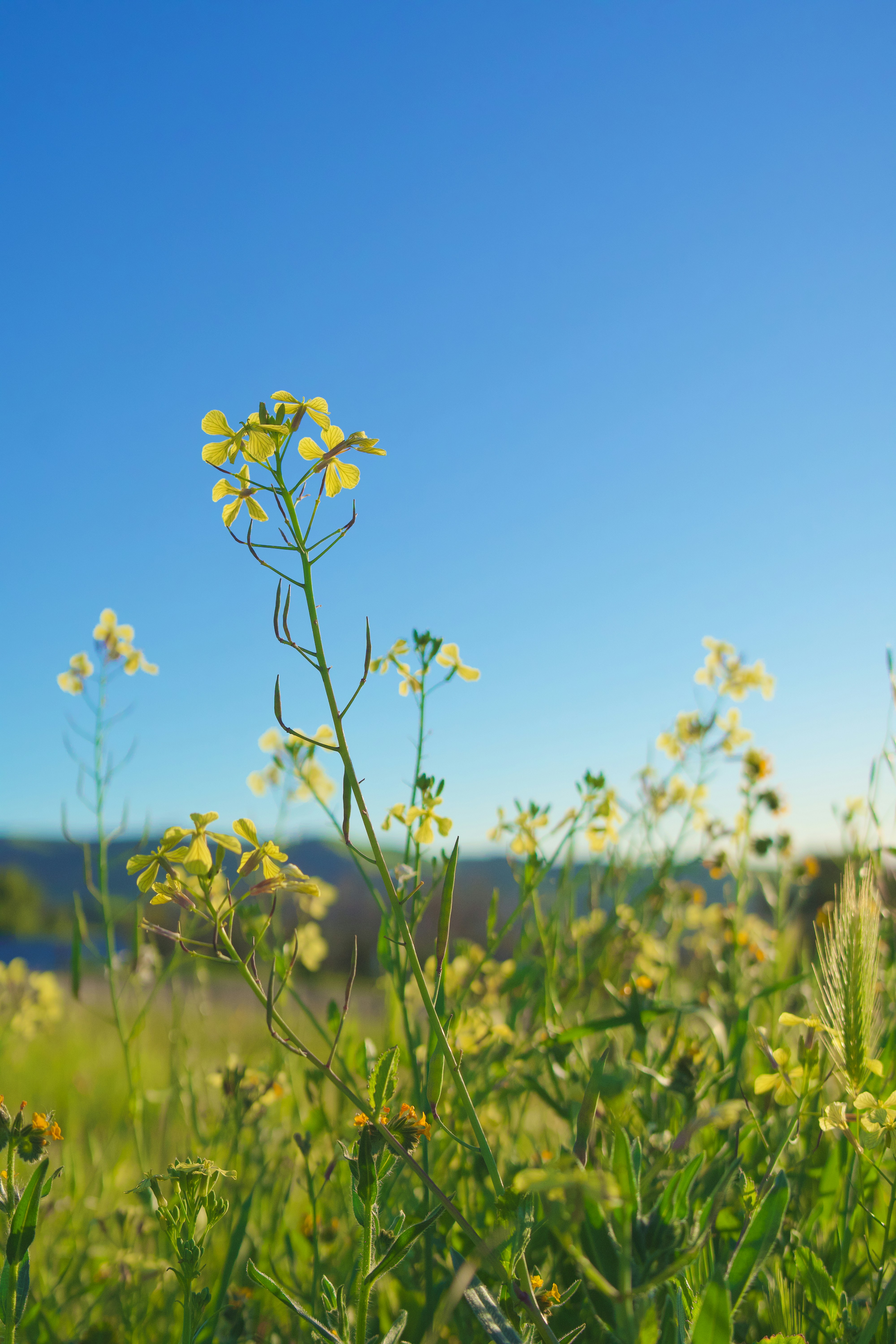 Photo by spencer_demera