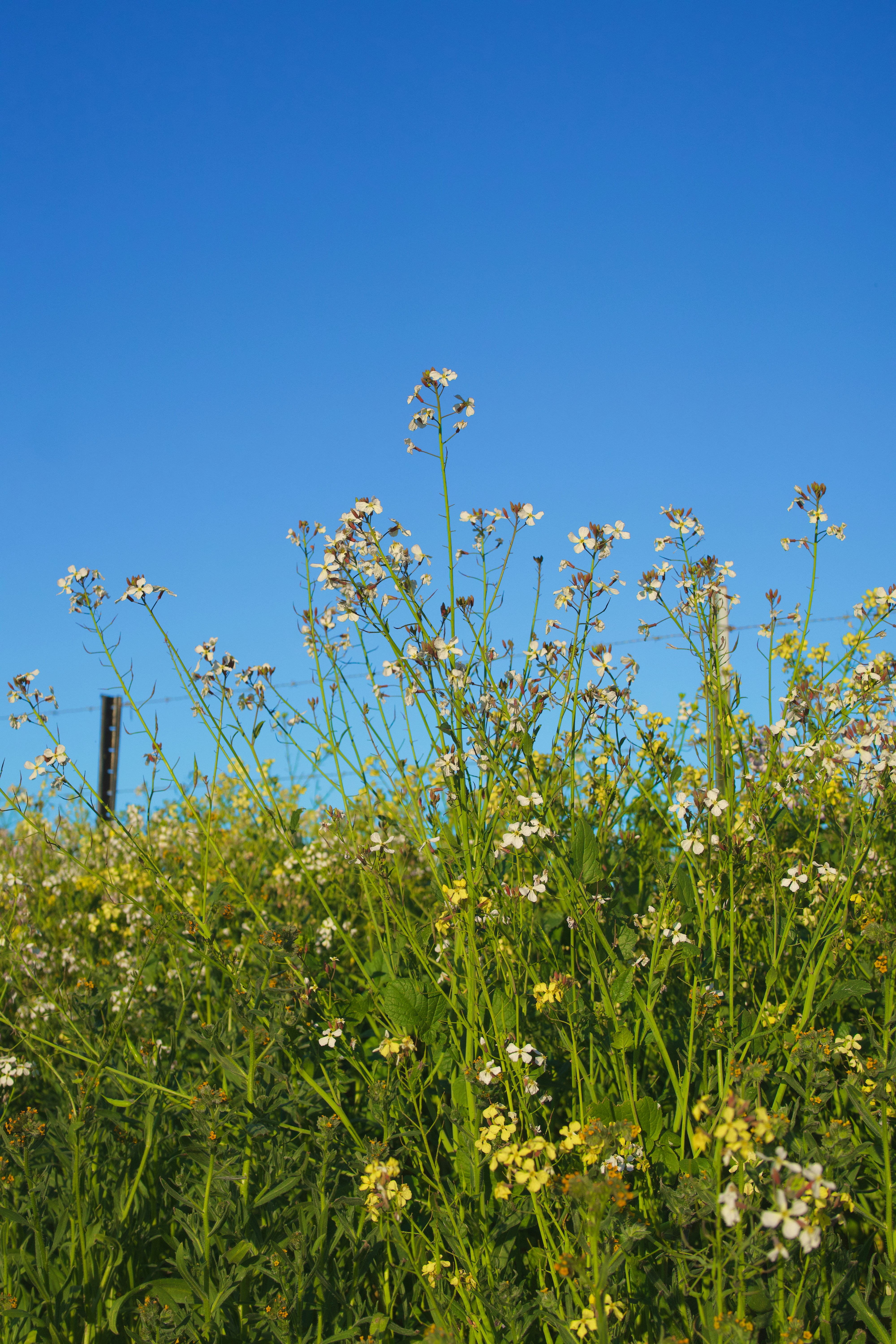 Photo by spencer_demera