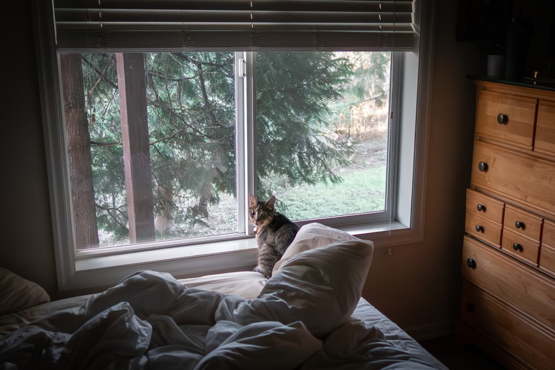 The Ritual of Coming Home: Re-entering Your Body