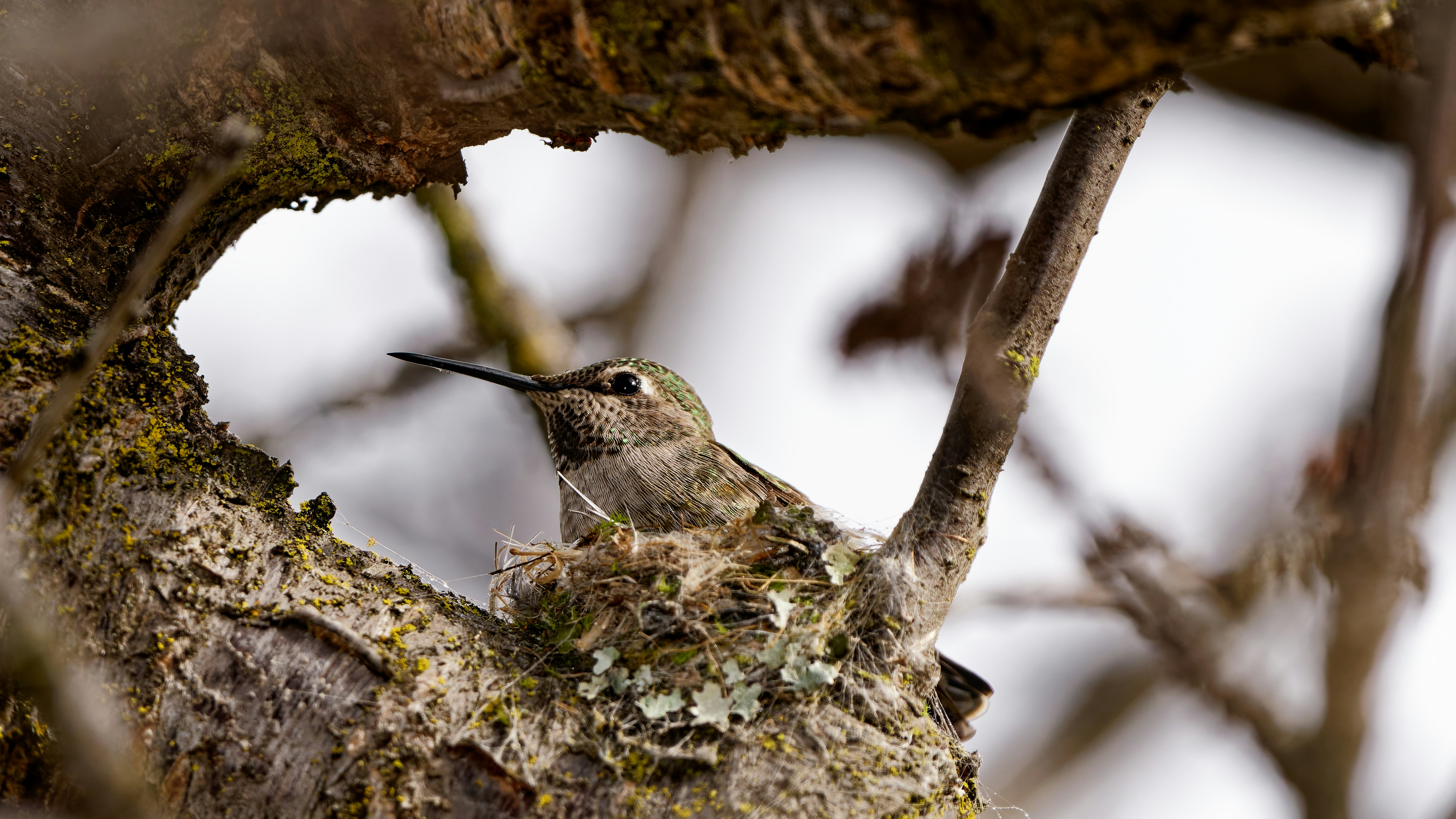 Photo by patrickbigelow_zoom_in