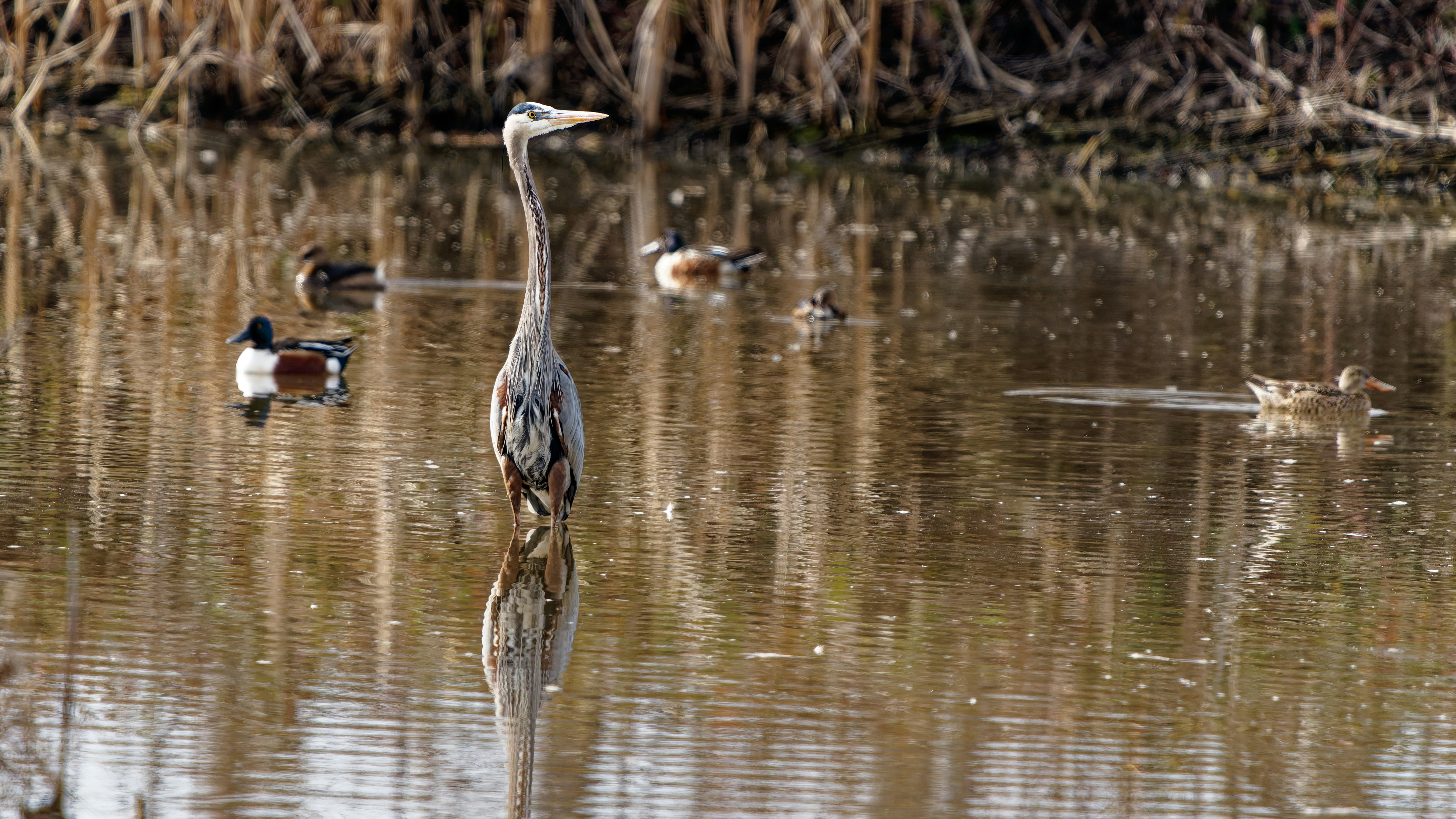 Photo by patrickbigelow_zoom_in