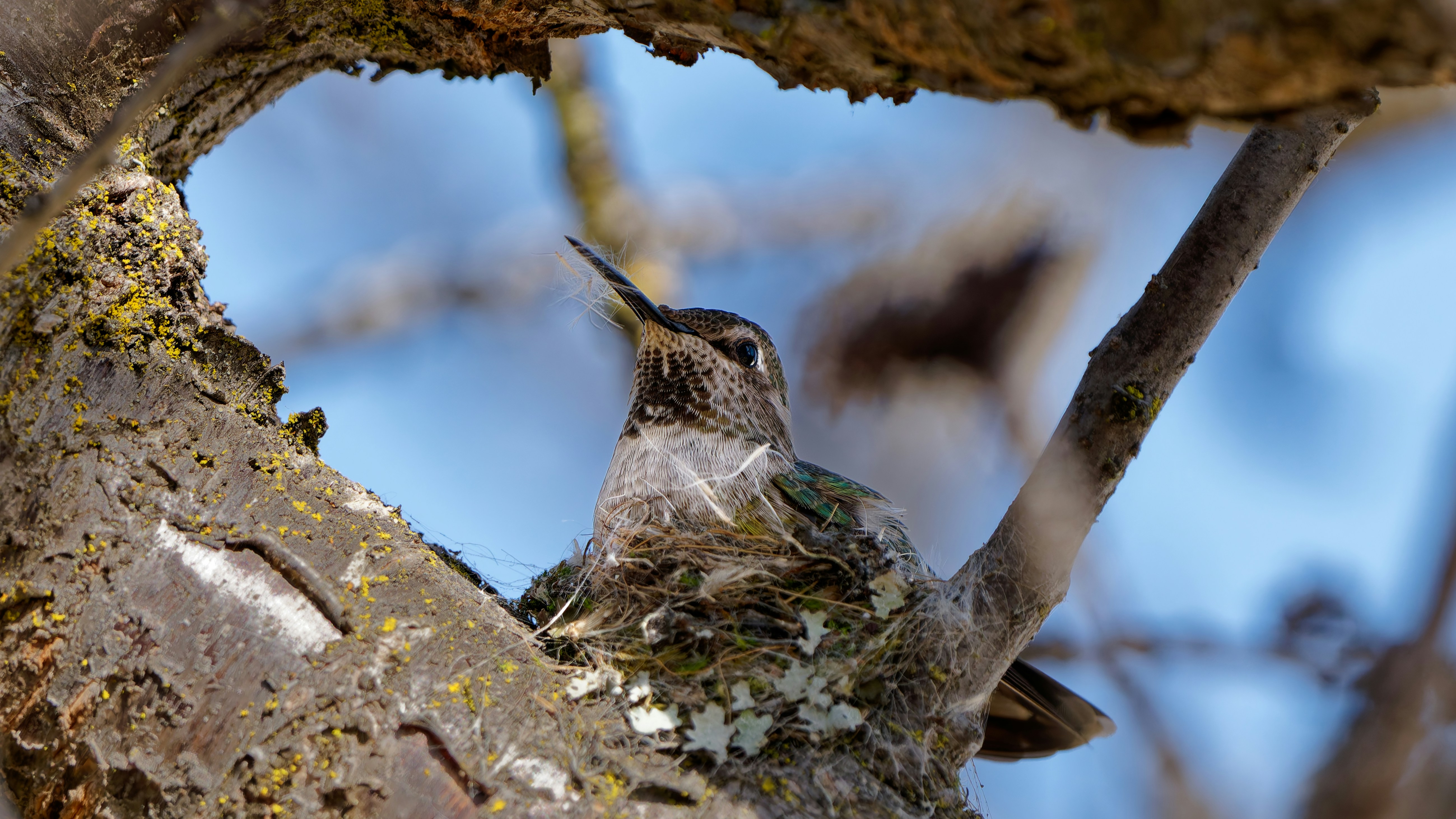 Photo by patrickbigelow_zoom_in