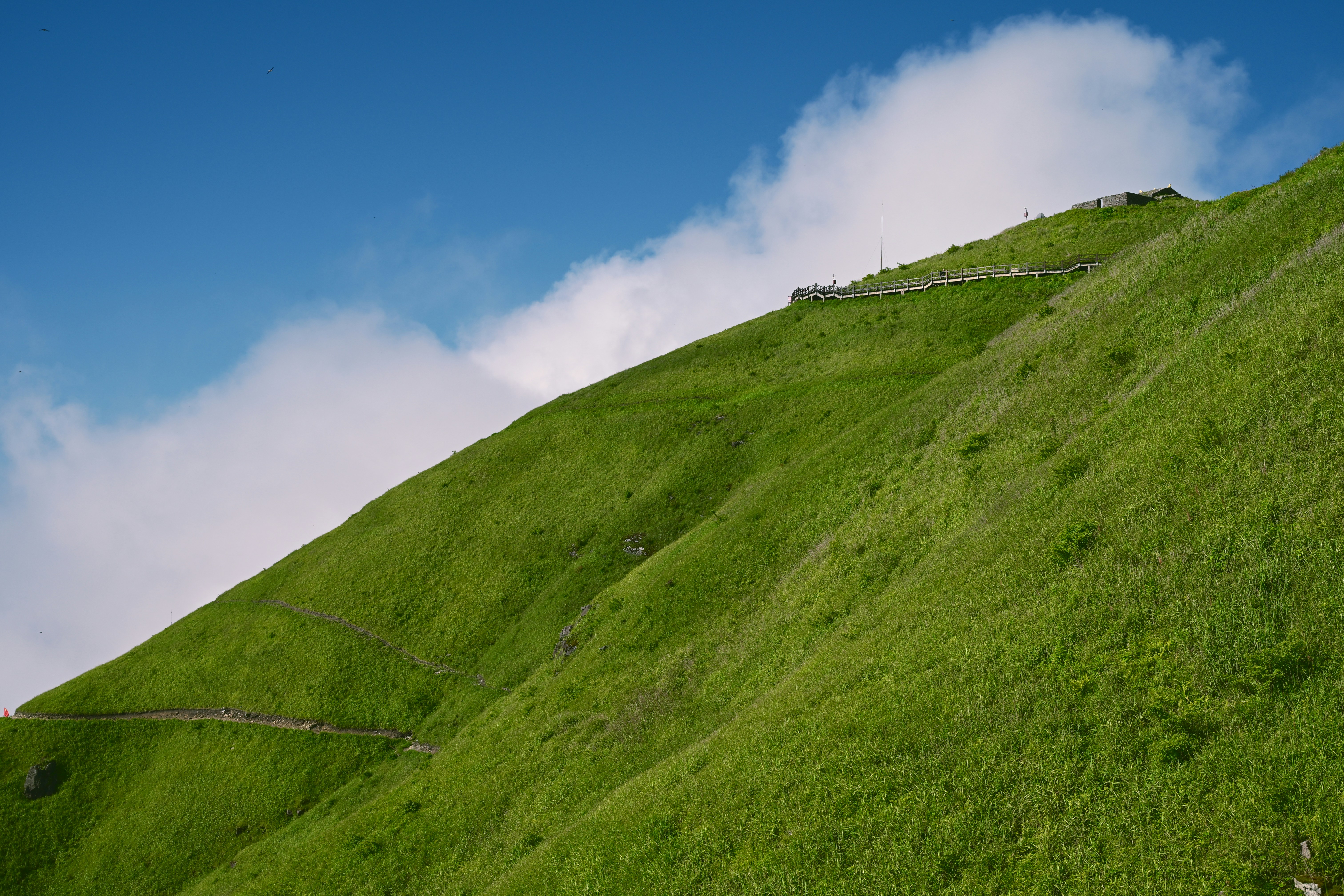 Photo by casablanca1942