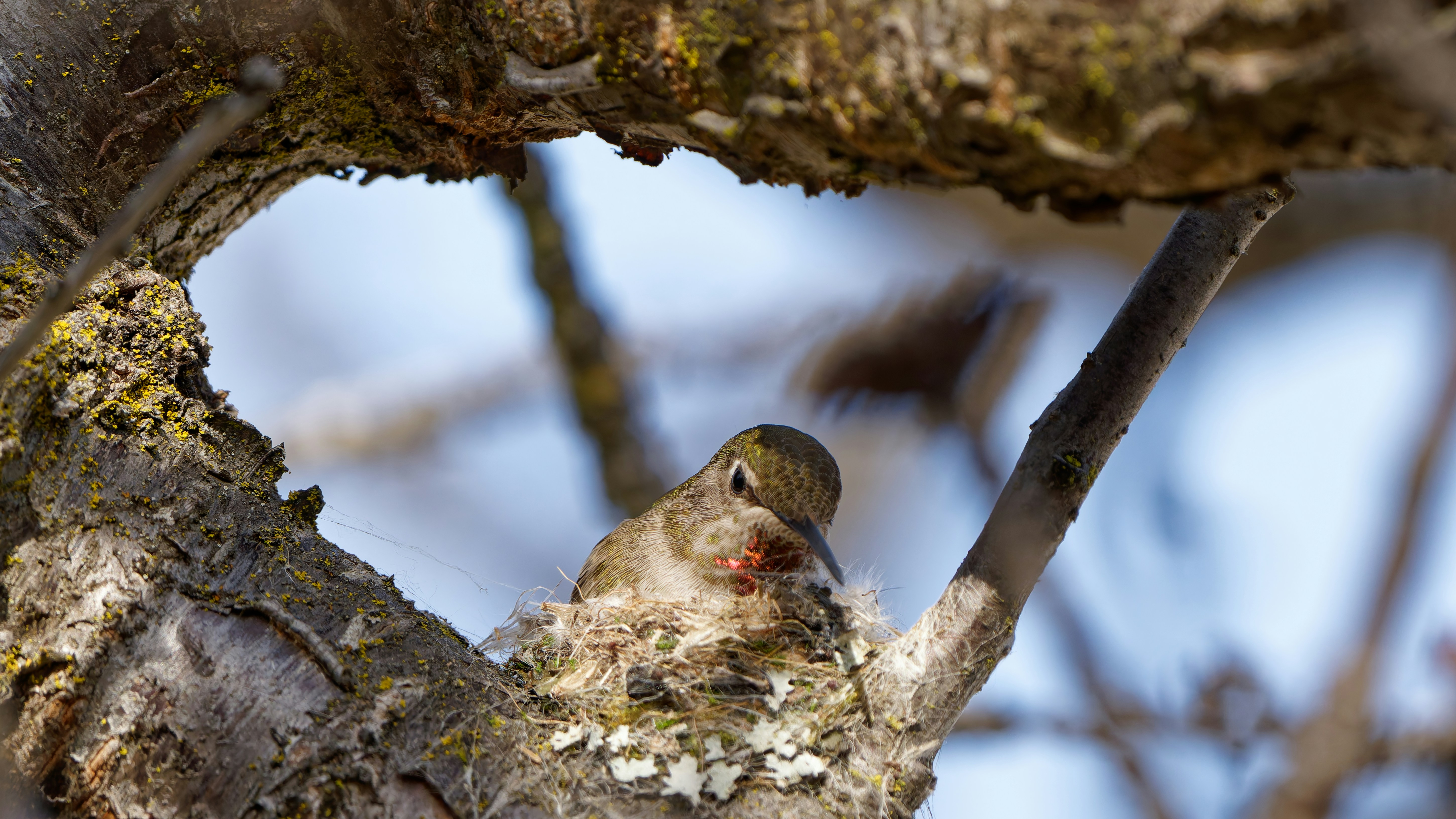 Photo by patrickbigelow_zoom_in