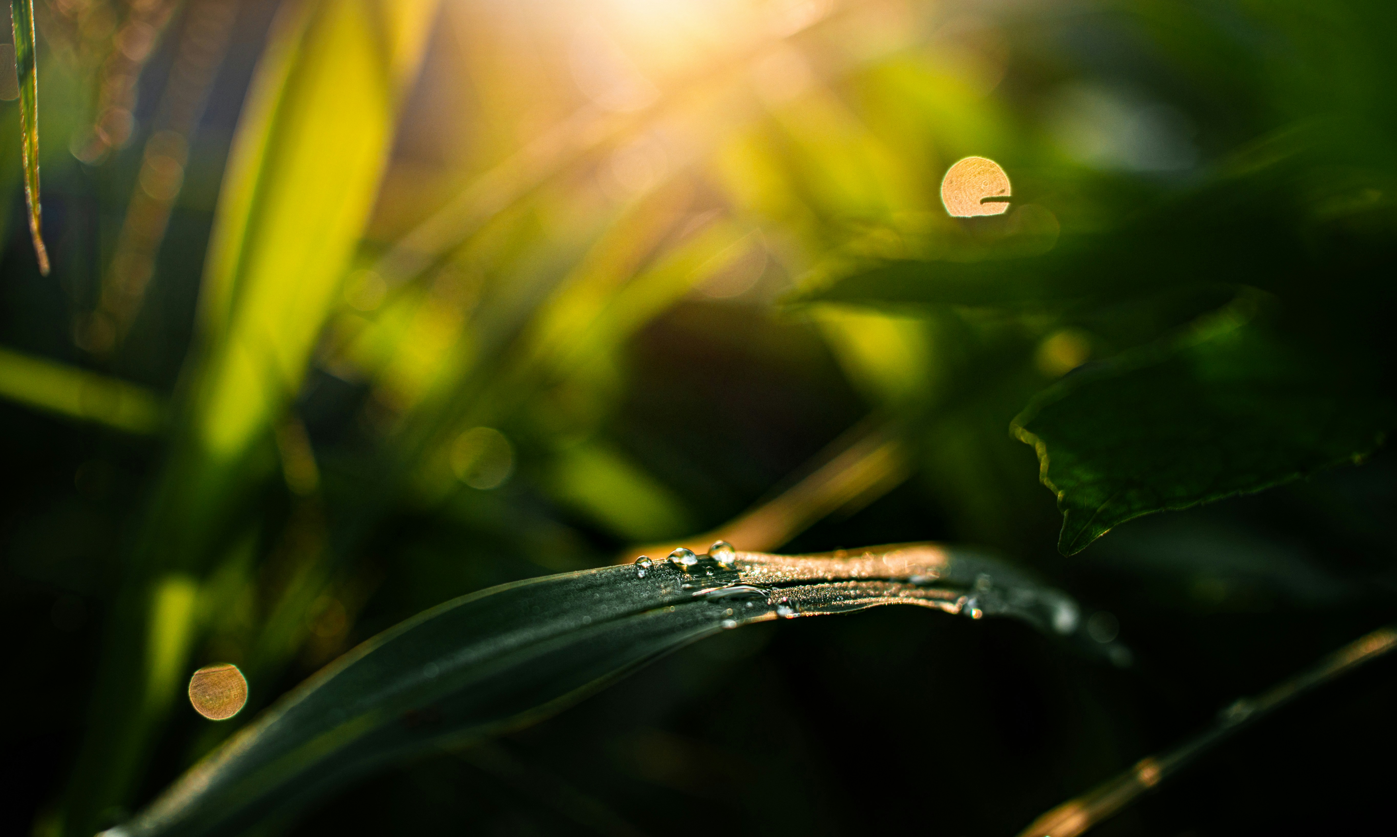 Photo by jealife_pictures