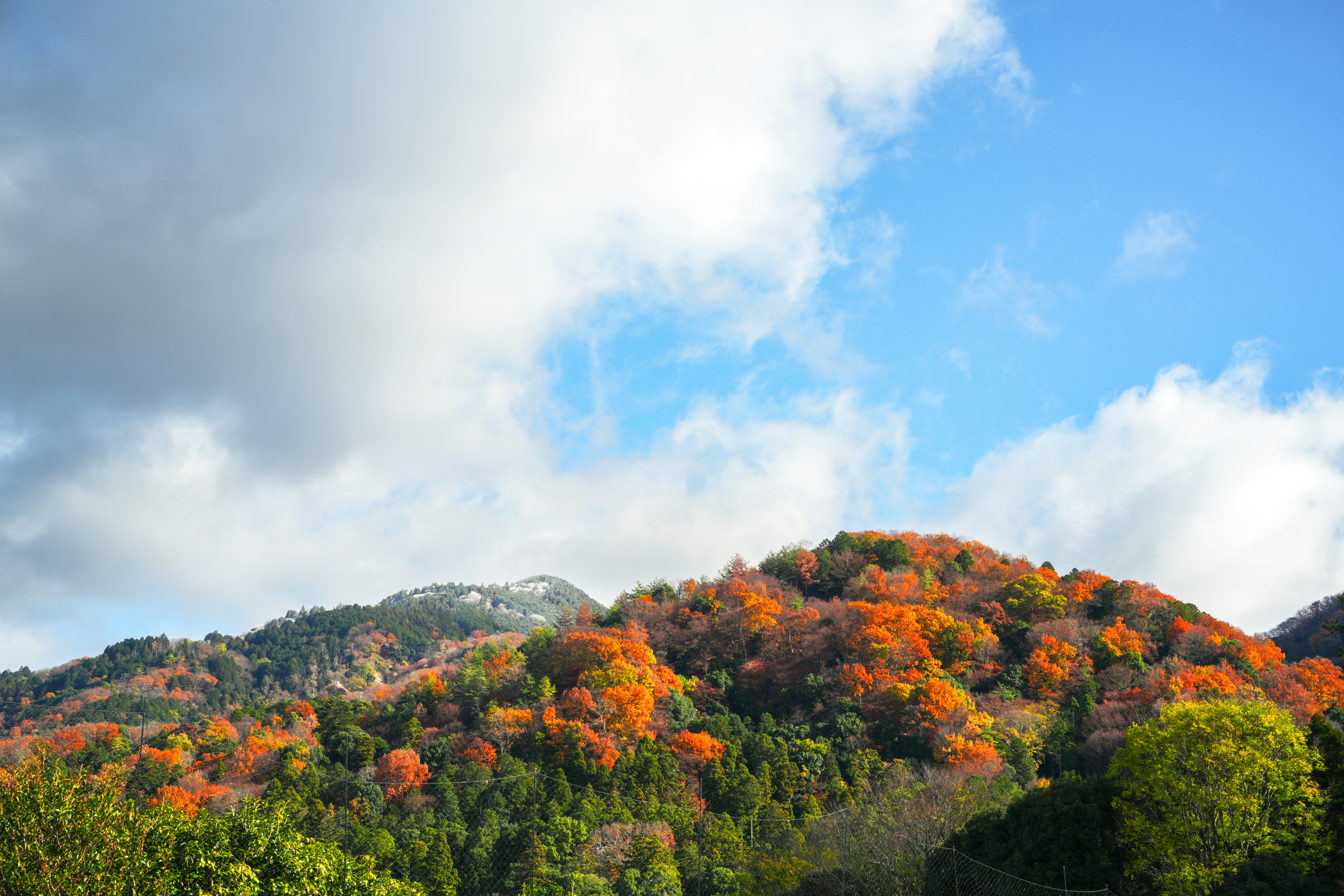 Photo by hattrick1996