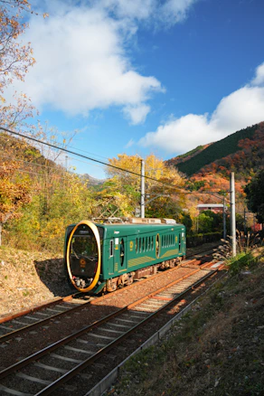 A green train travels on tracks through autumn foliage.