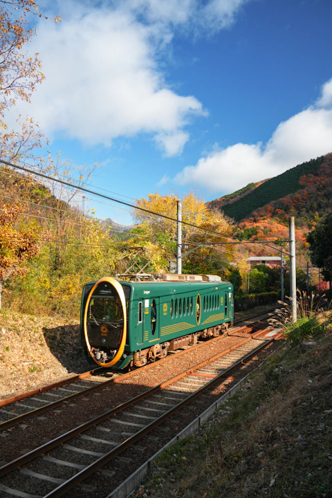 A green train travels on tracks through autumn foliage.