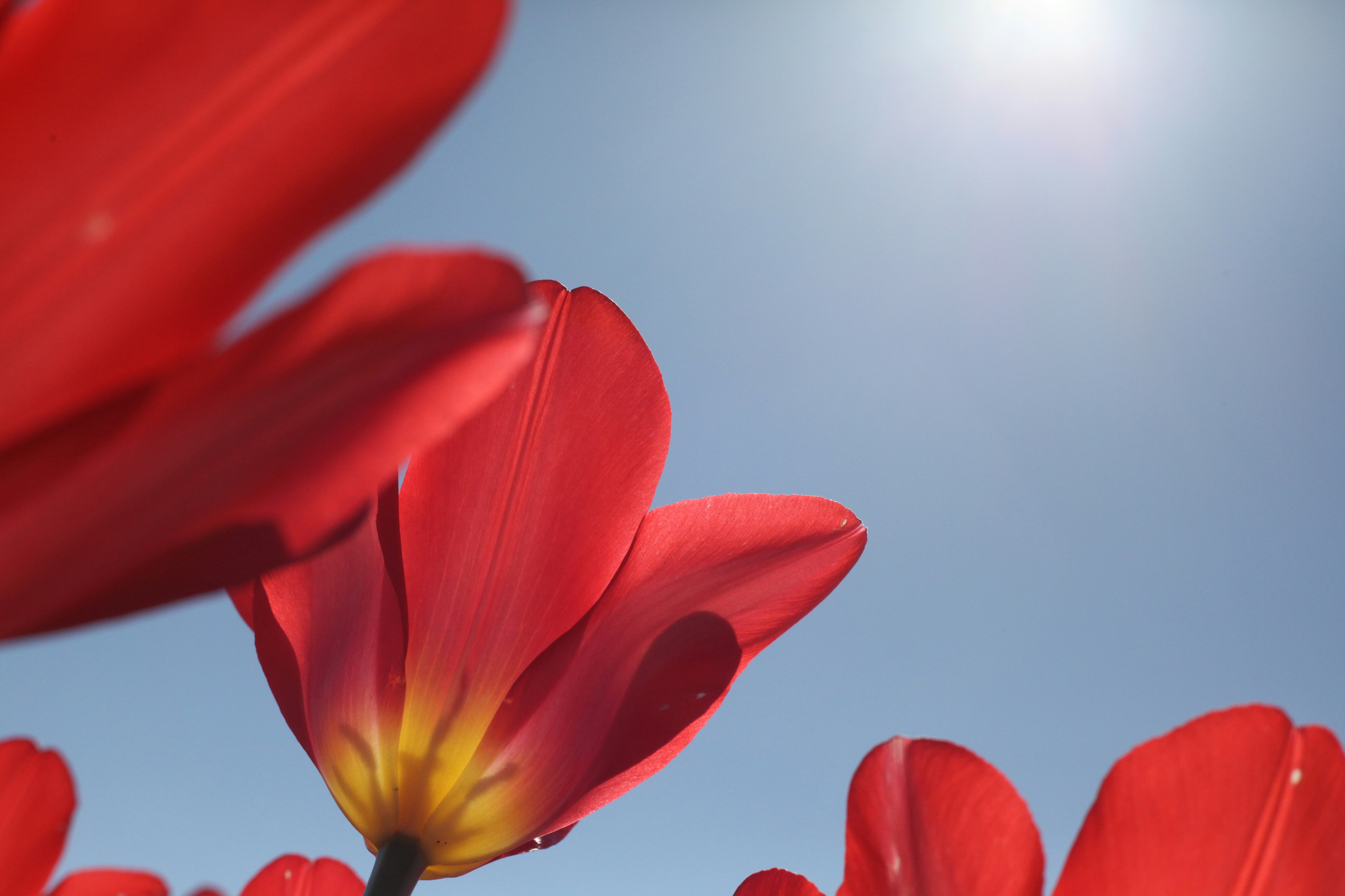 Photo by jenstakesphotos