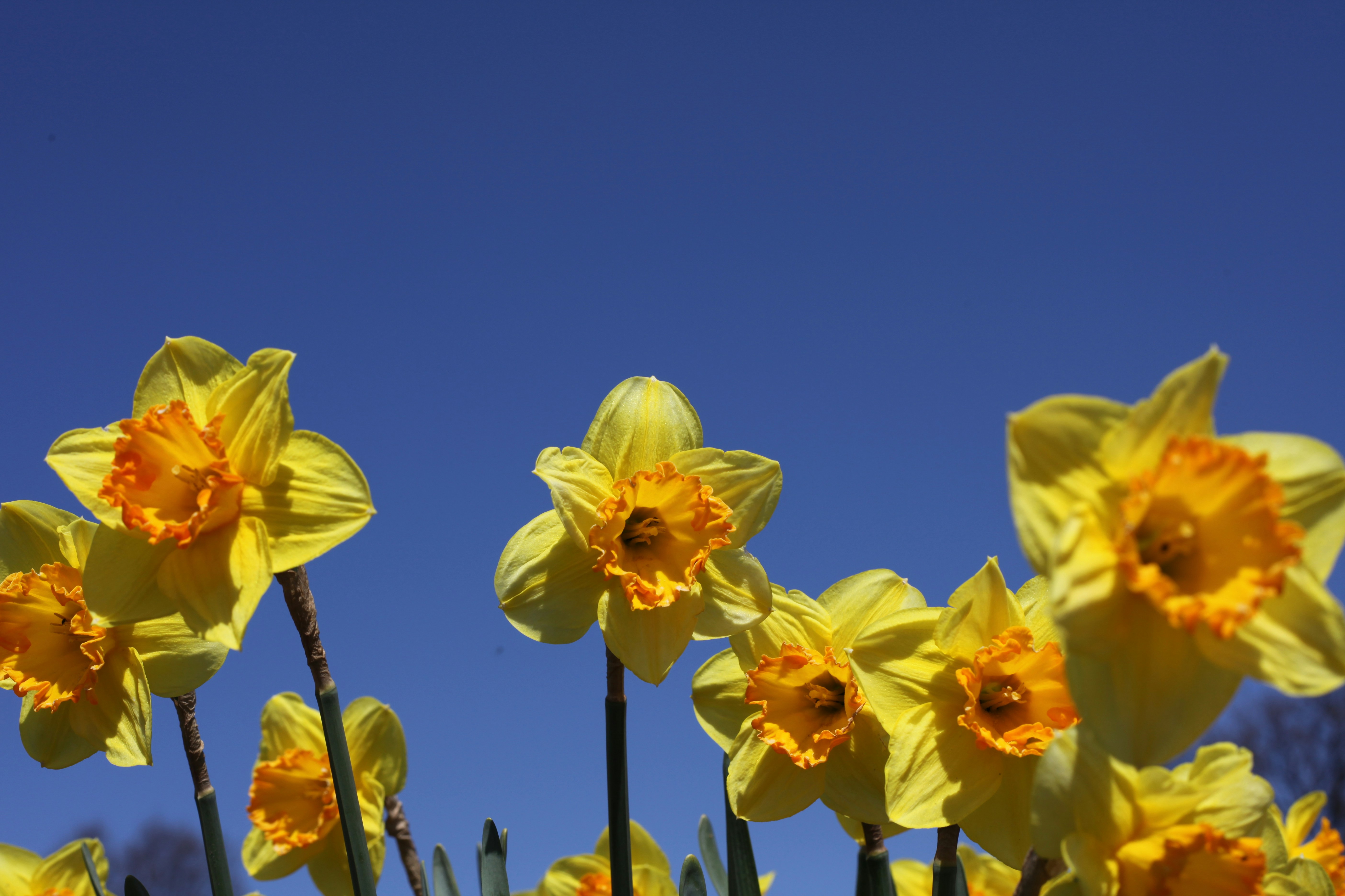 Photo by jenstakesphotos