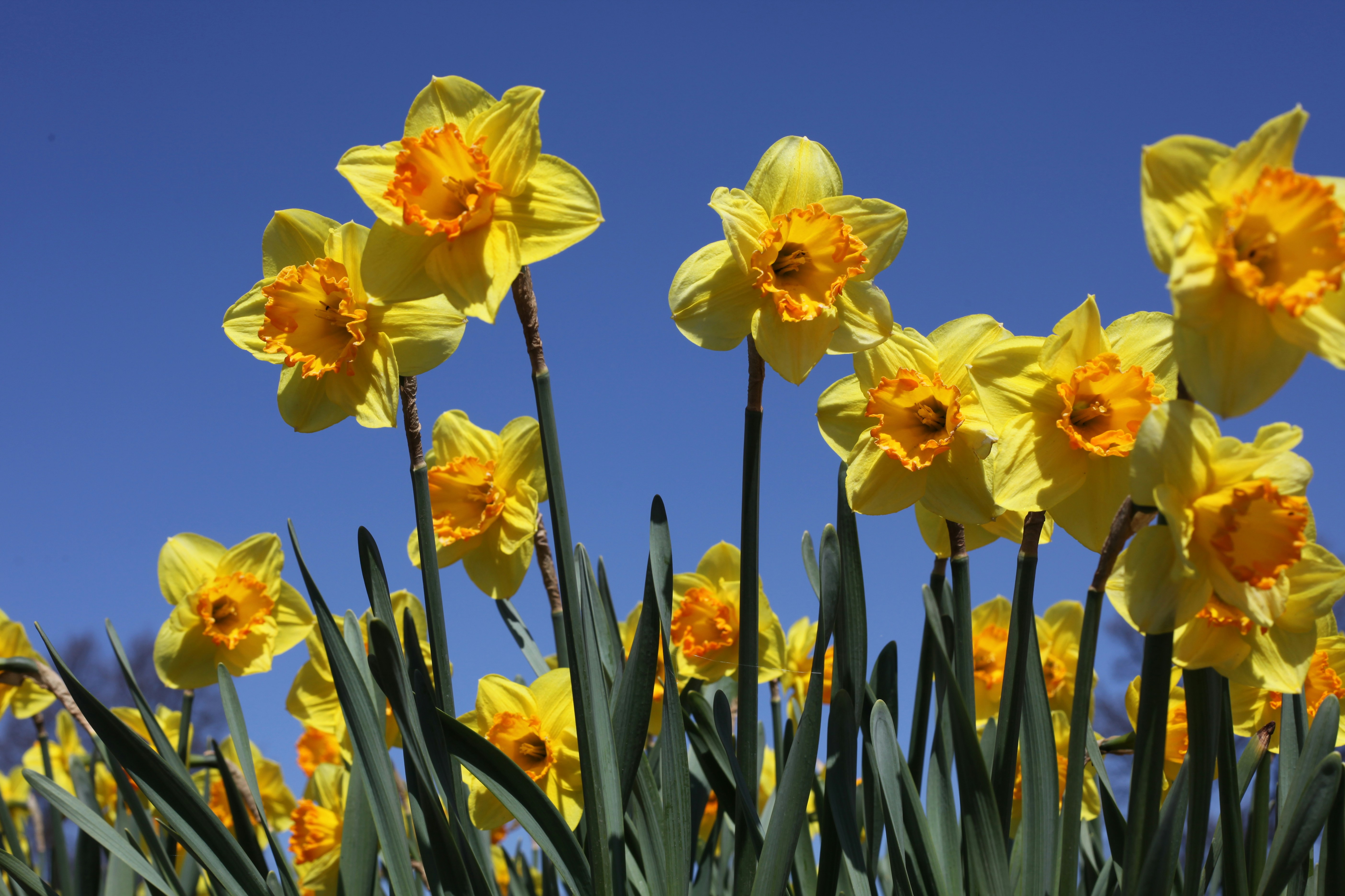 Photo by jenstakesphotos