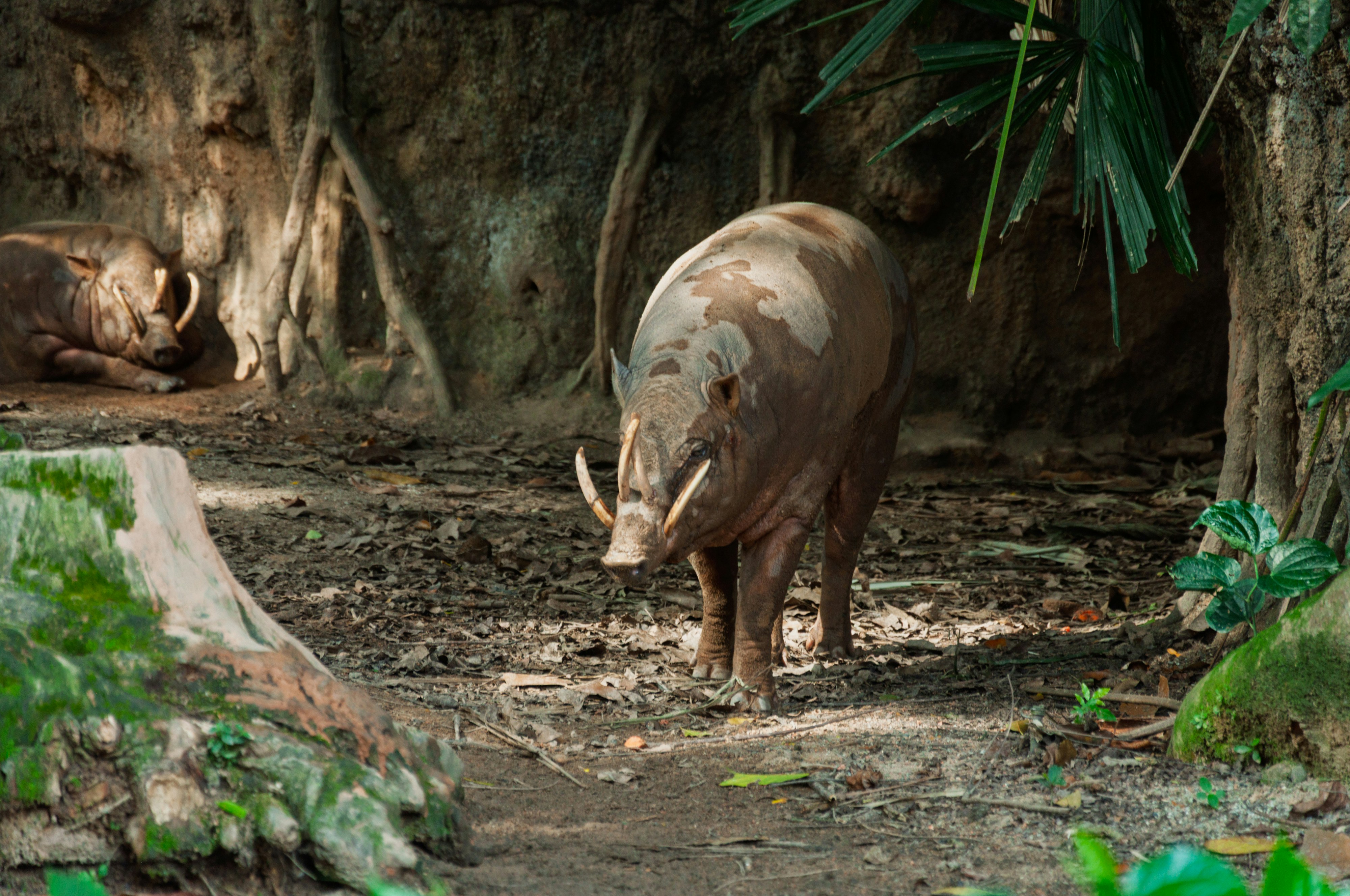 Photo by floratropicana