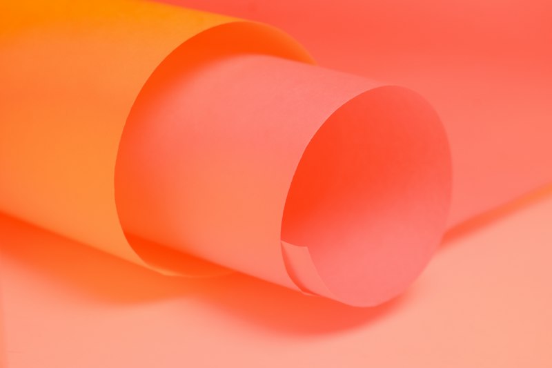 Cam Neon Rực Rỡ