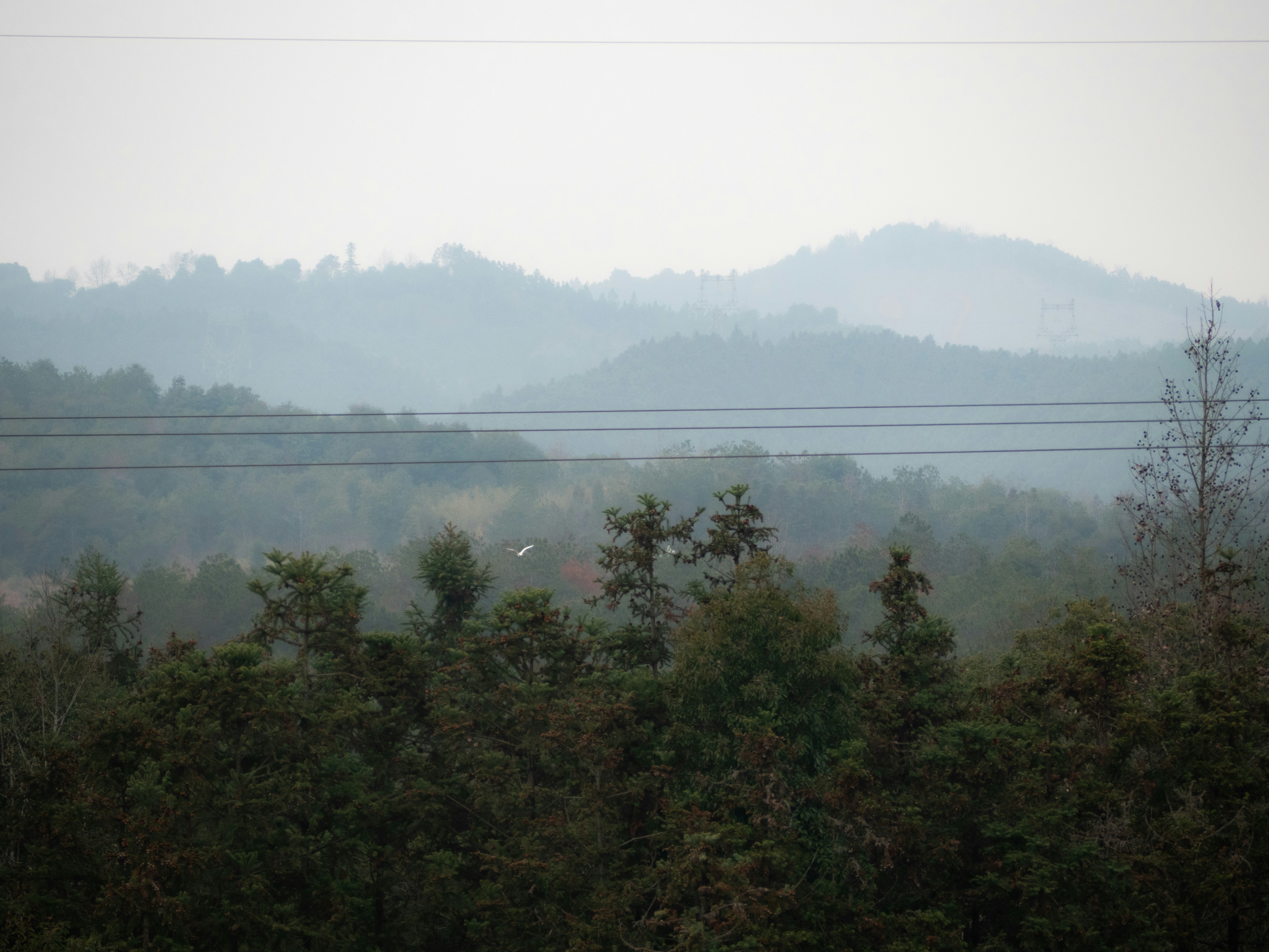 A photograph representing rolling green hills