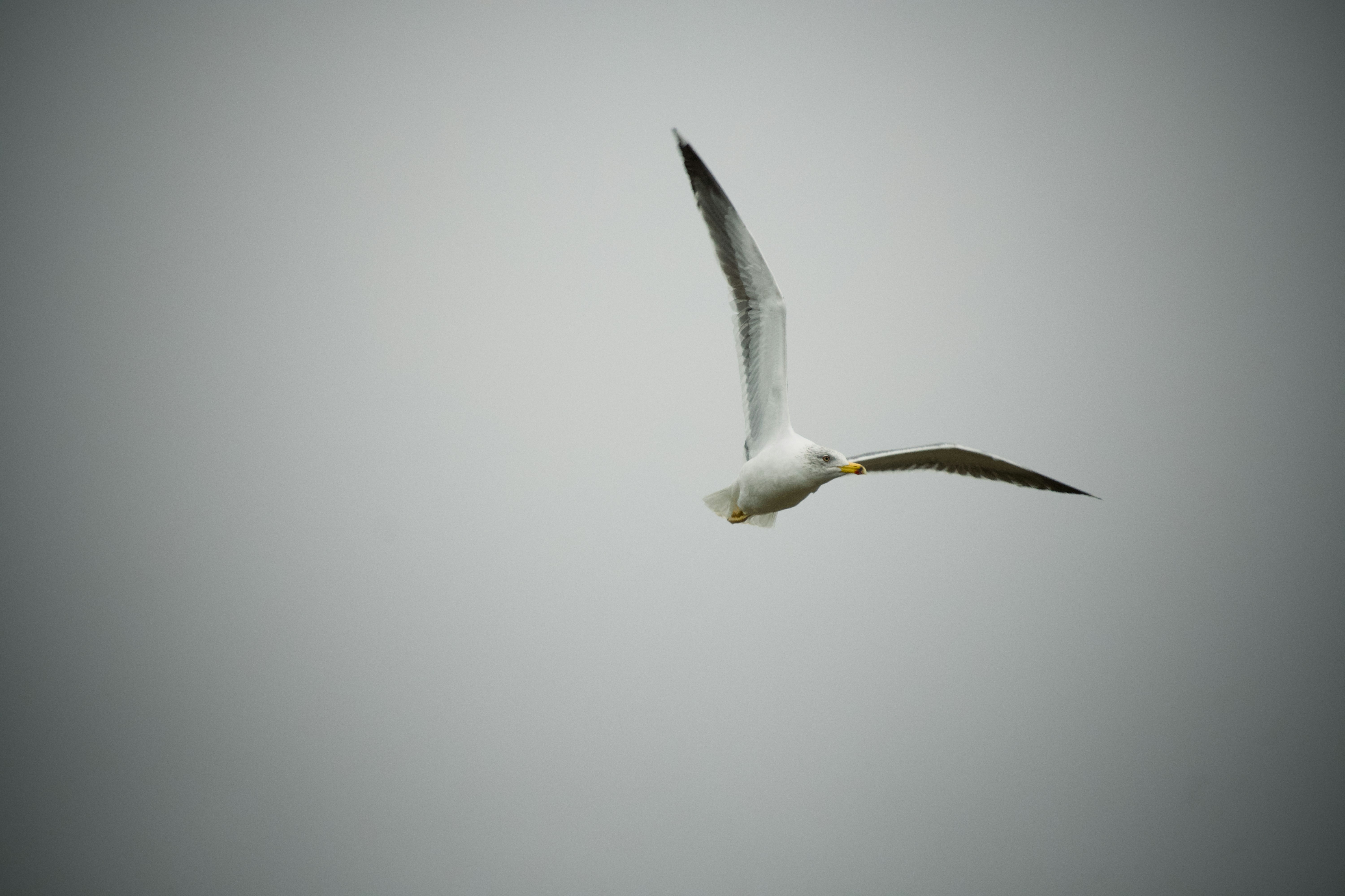 Photo by vaalenzuelaf