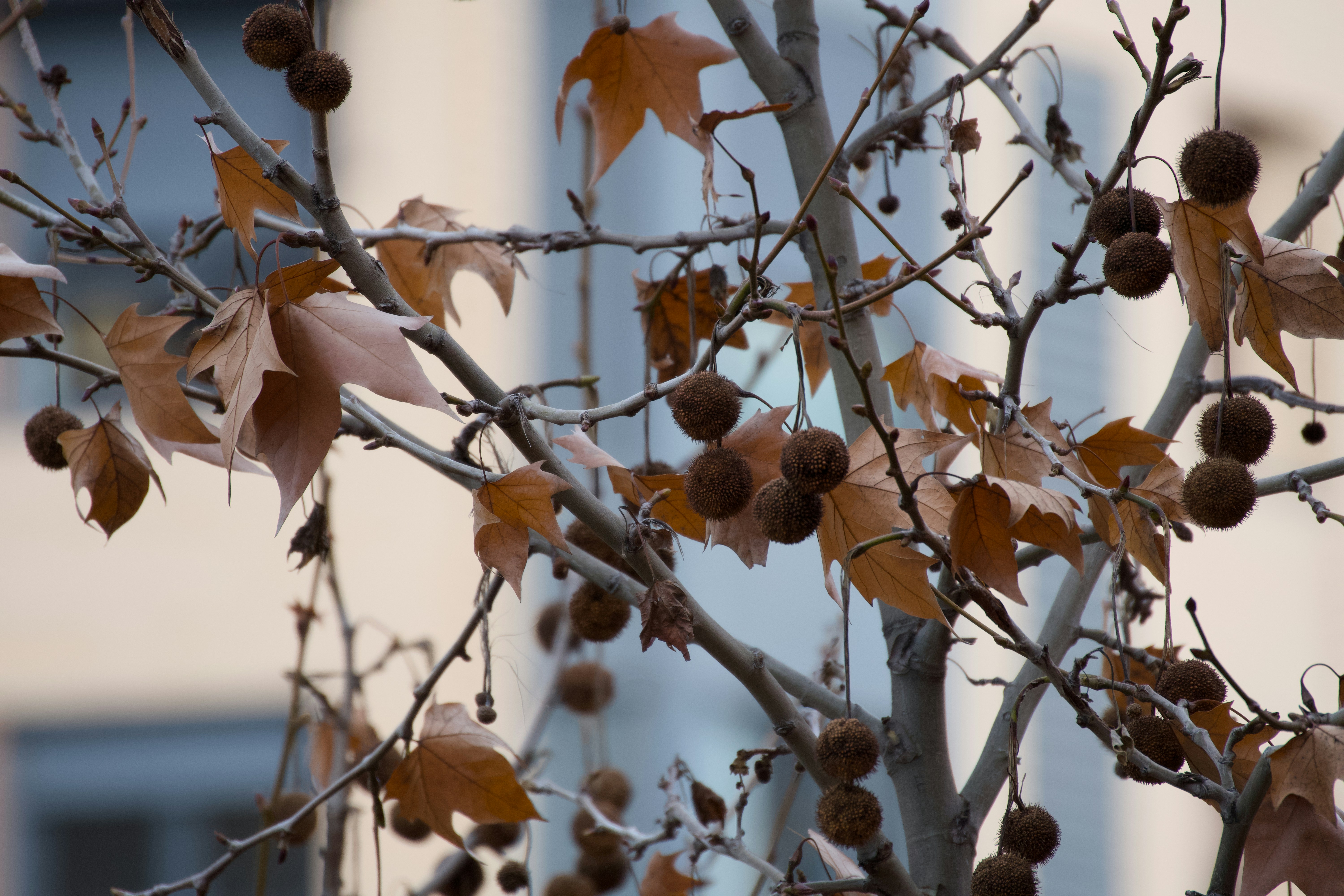 Photo by vaalenzuelaf