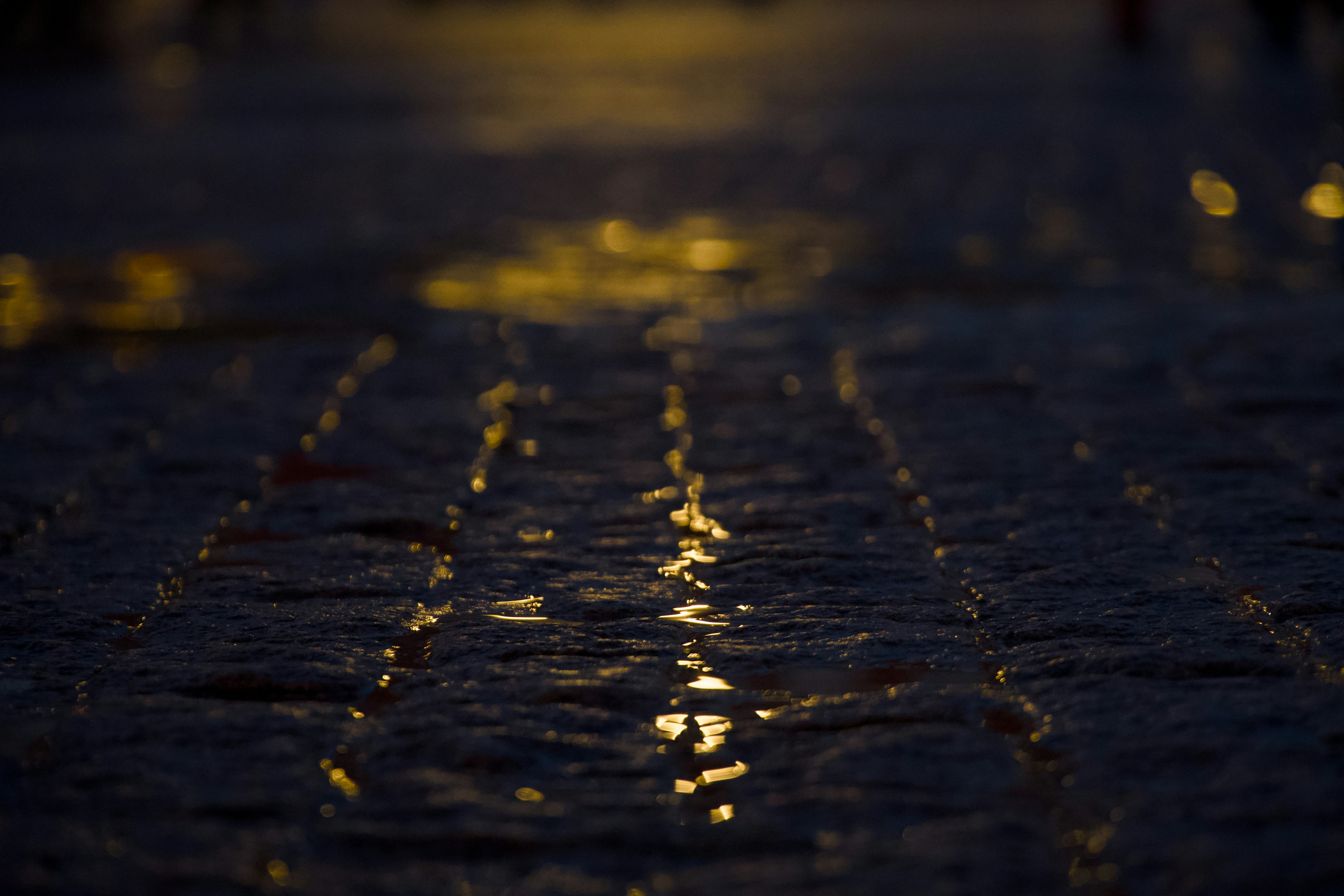 Photo by vaalenzuelaf