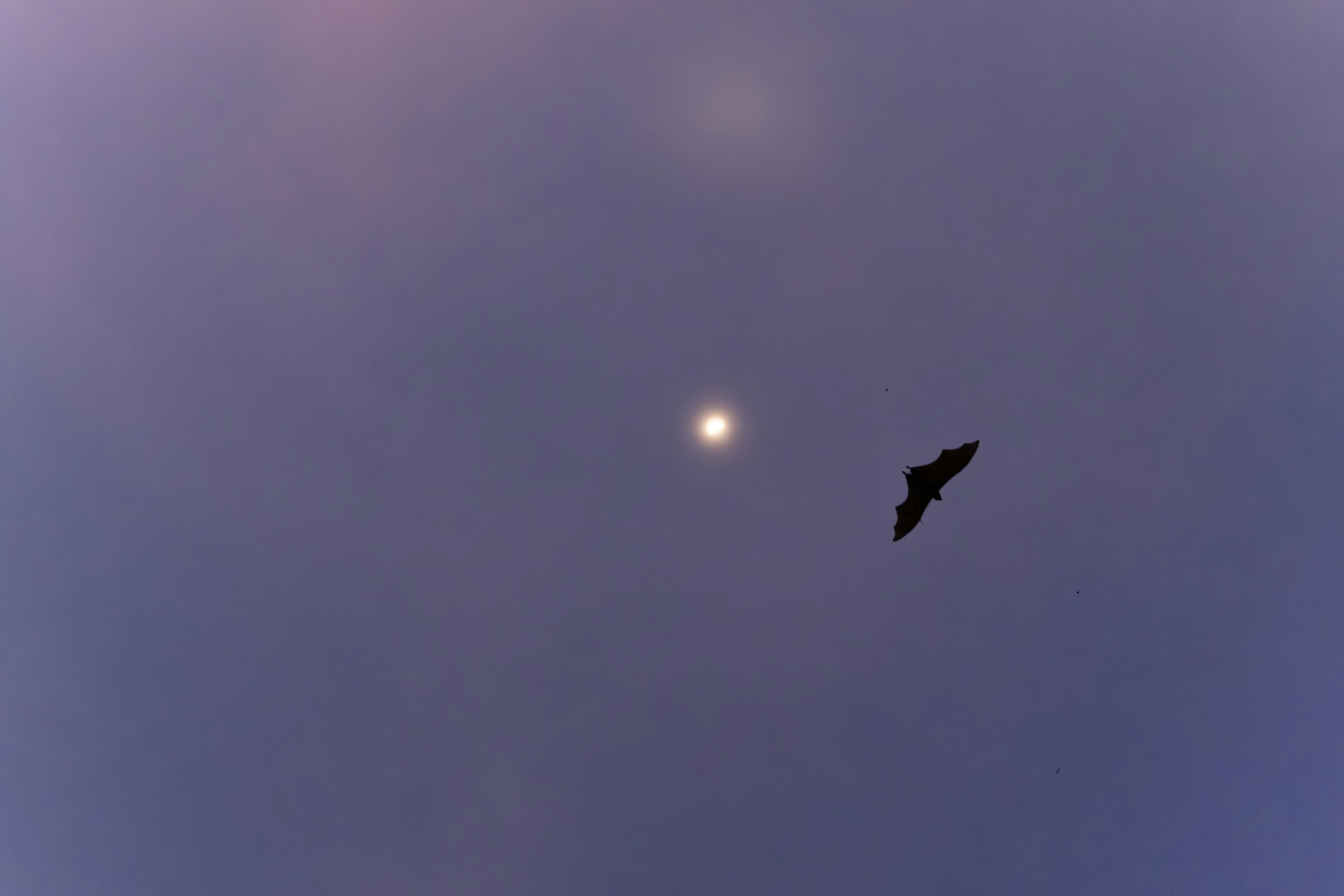 Photo by jakubklucky