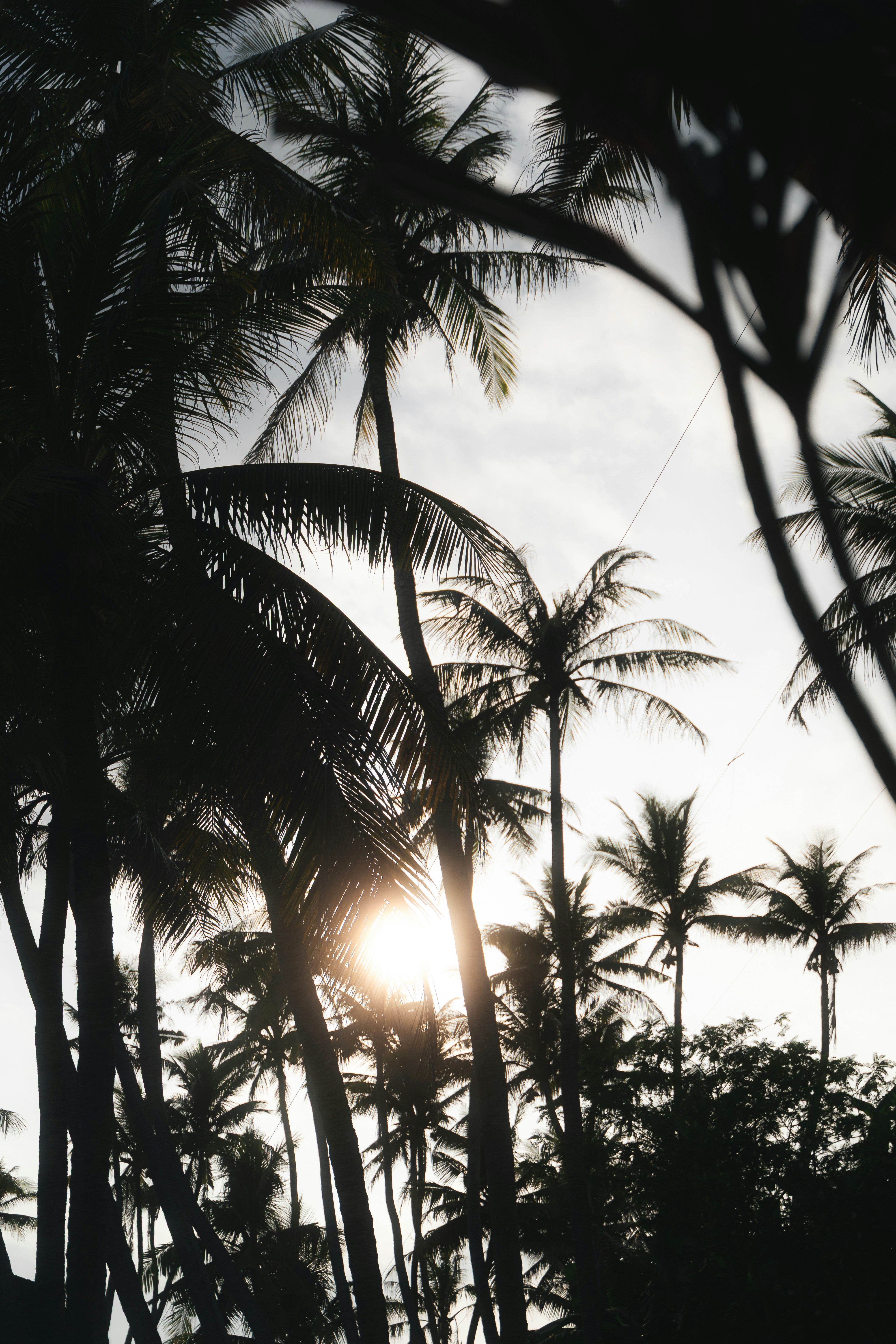 Photo by jakubklucky