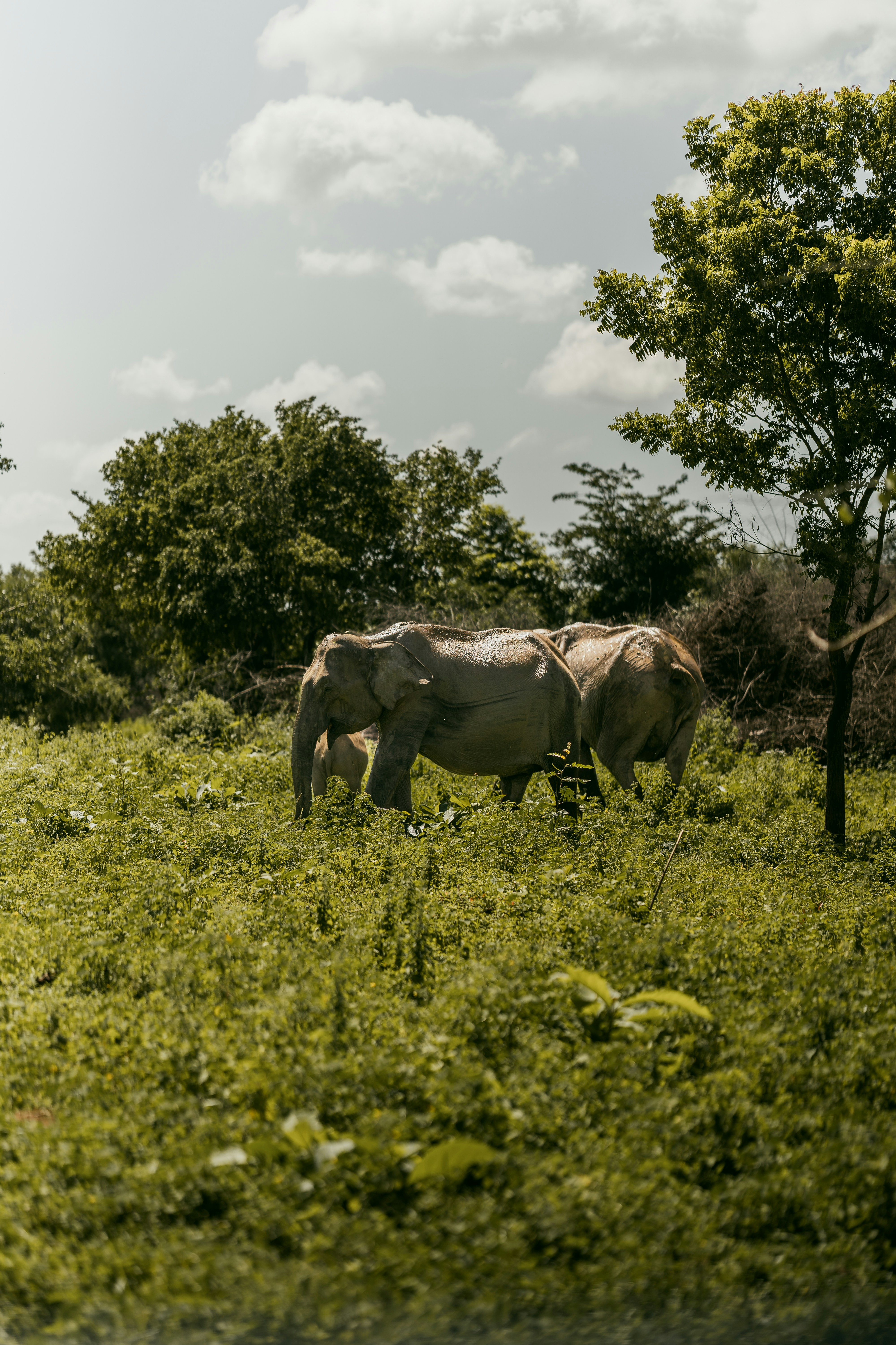 Photo by jakubklucky