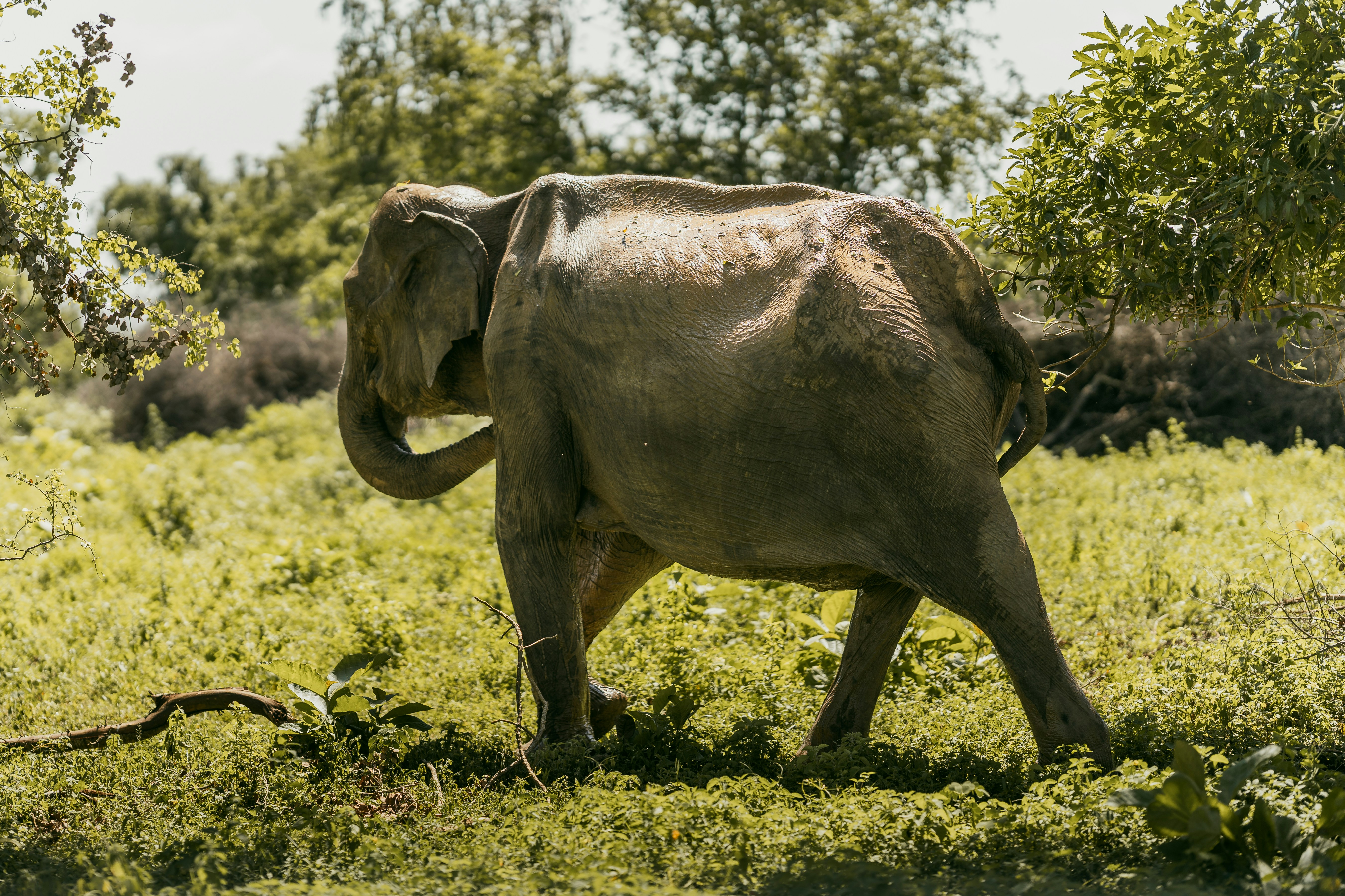 Photo by jakubklucky