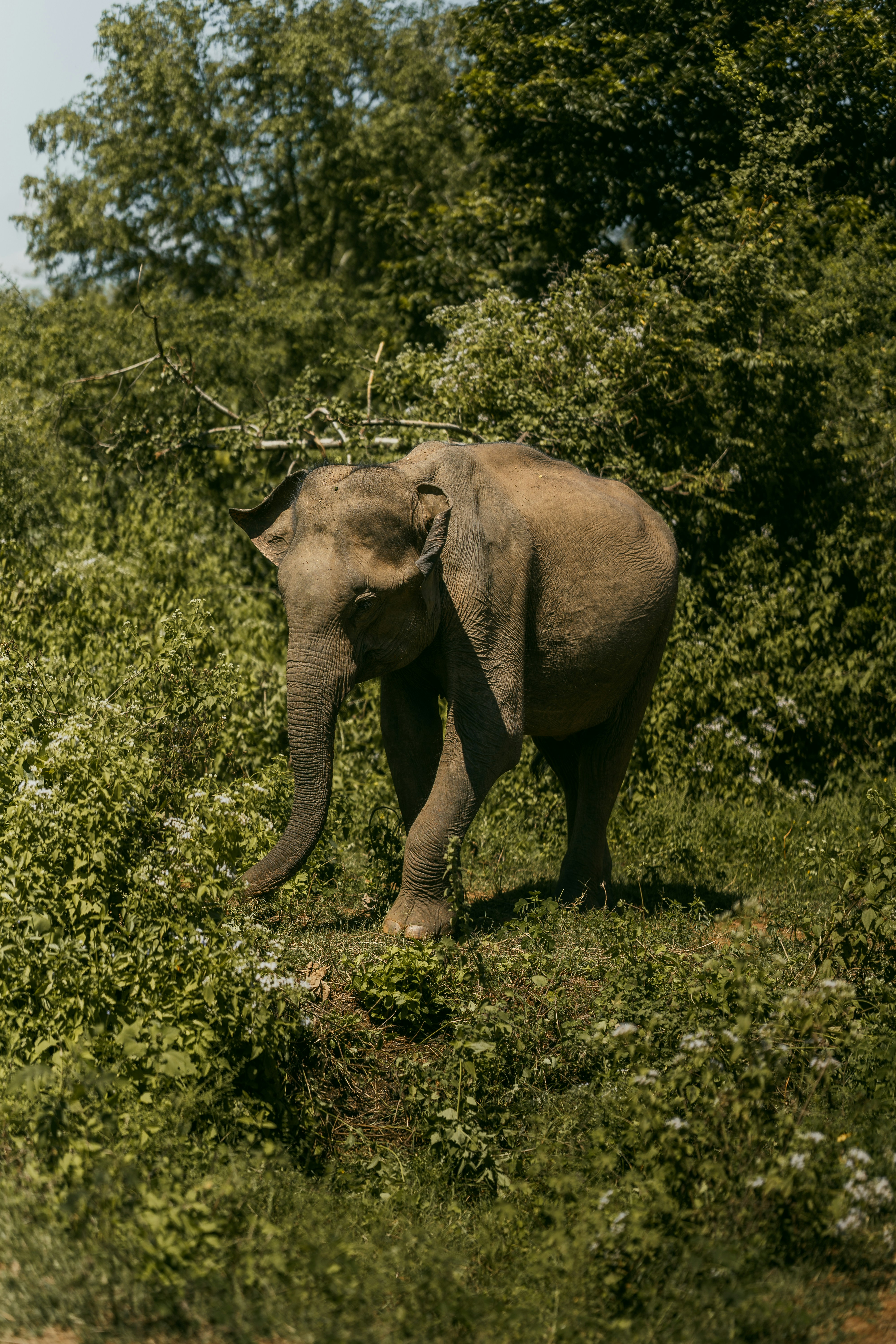 Photo by jakubklucky