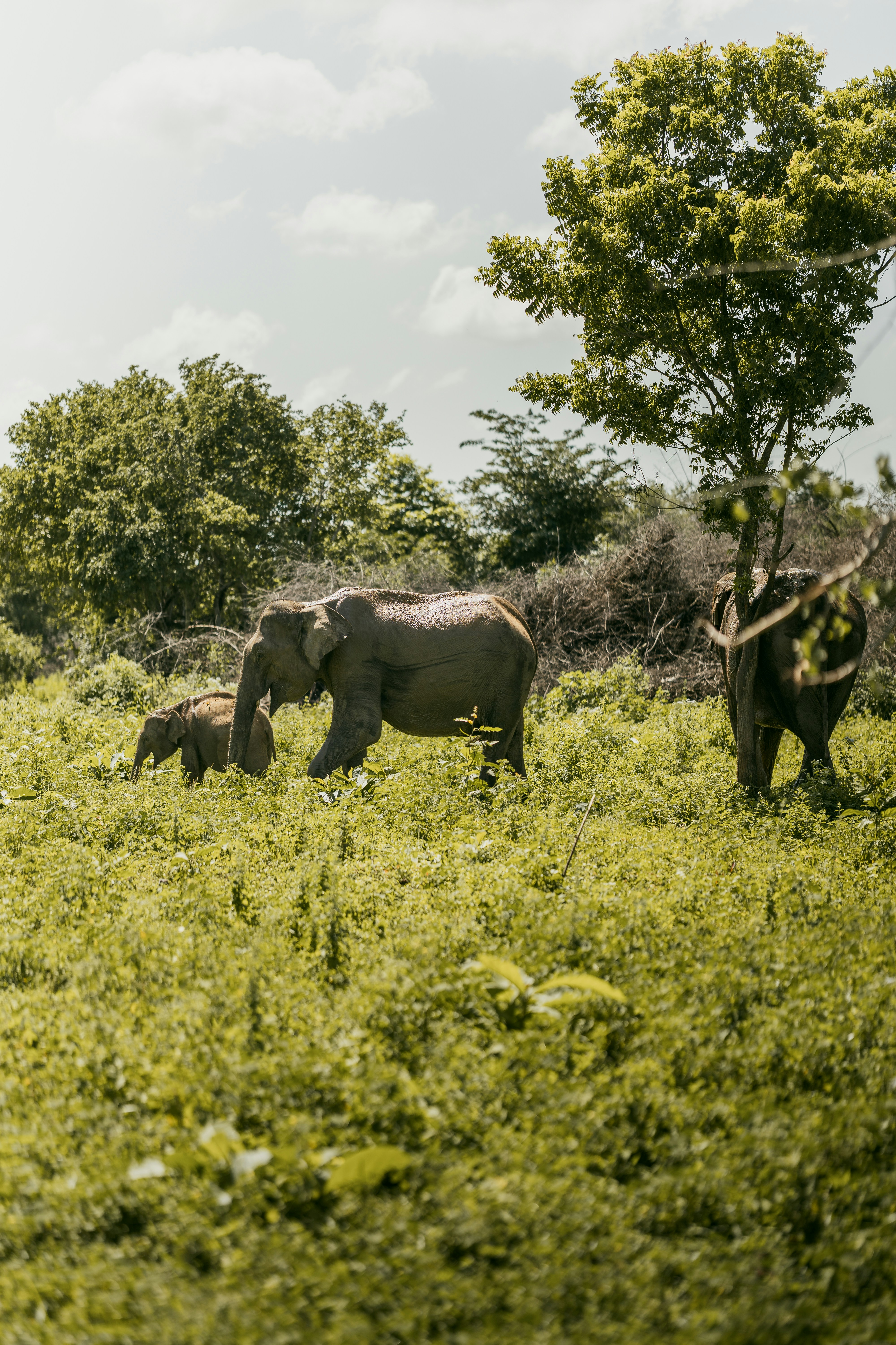 Photo by jakubklucky