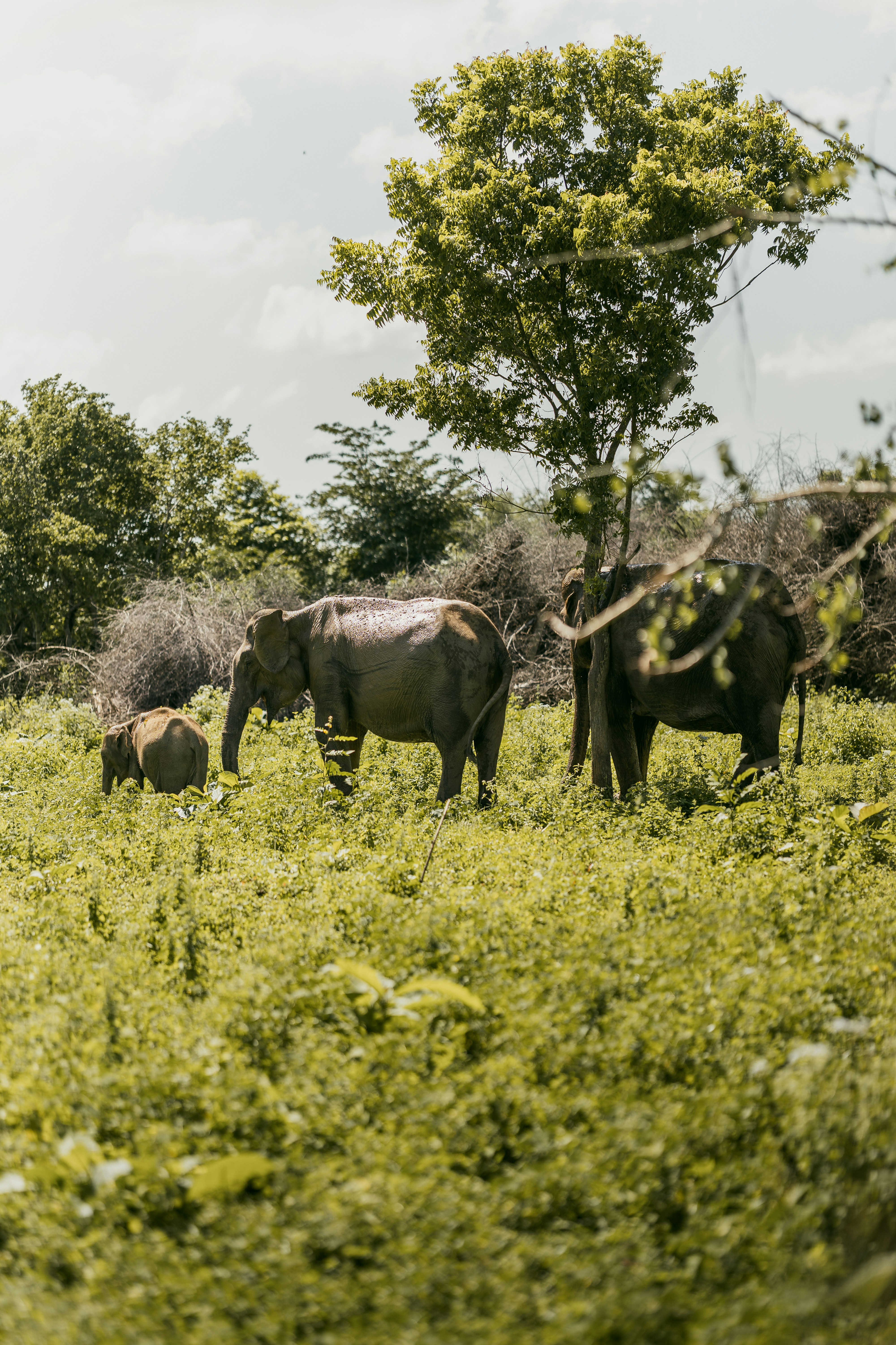 Photo by jakubklucky