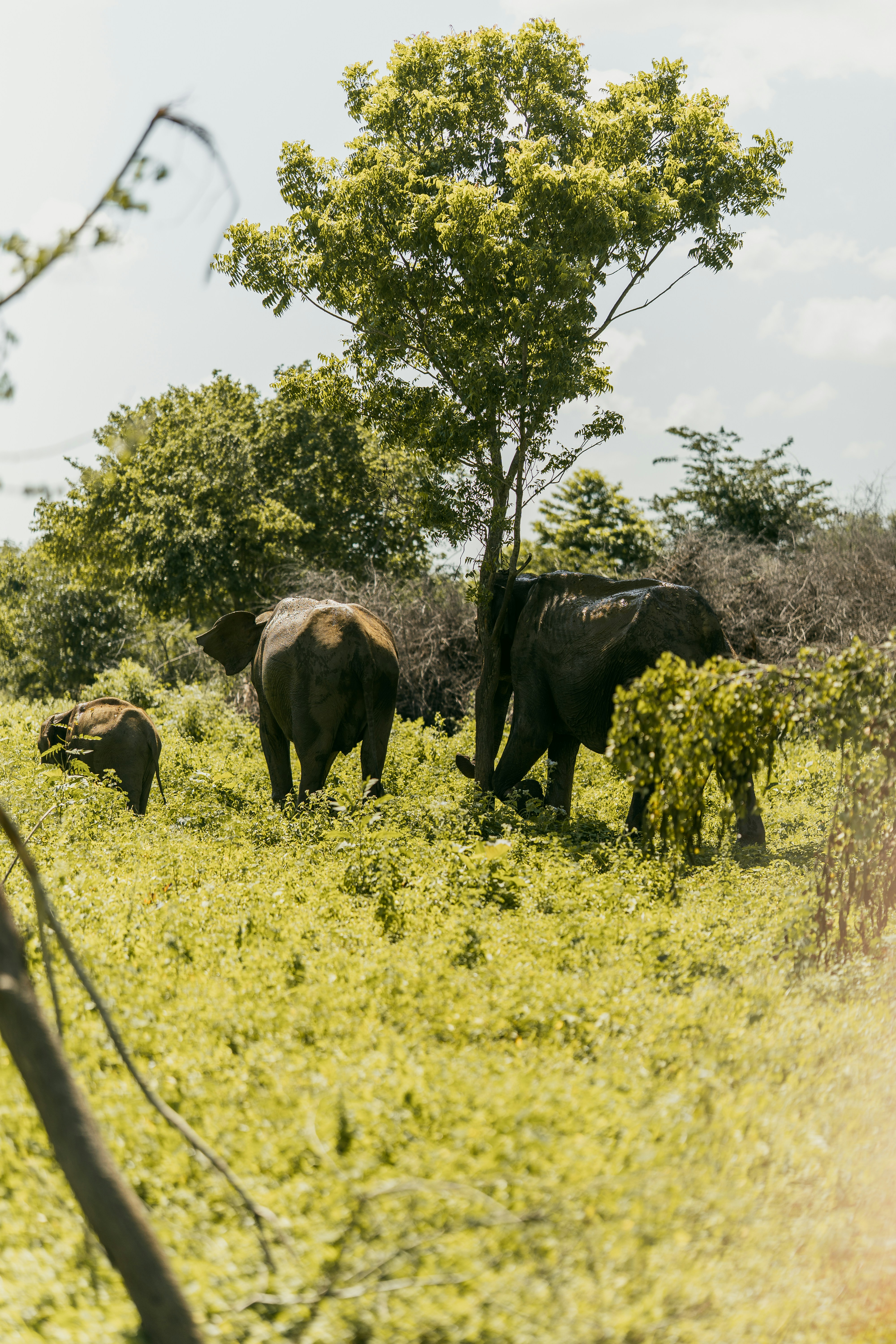 Photo by jakubklucky