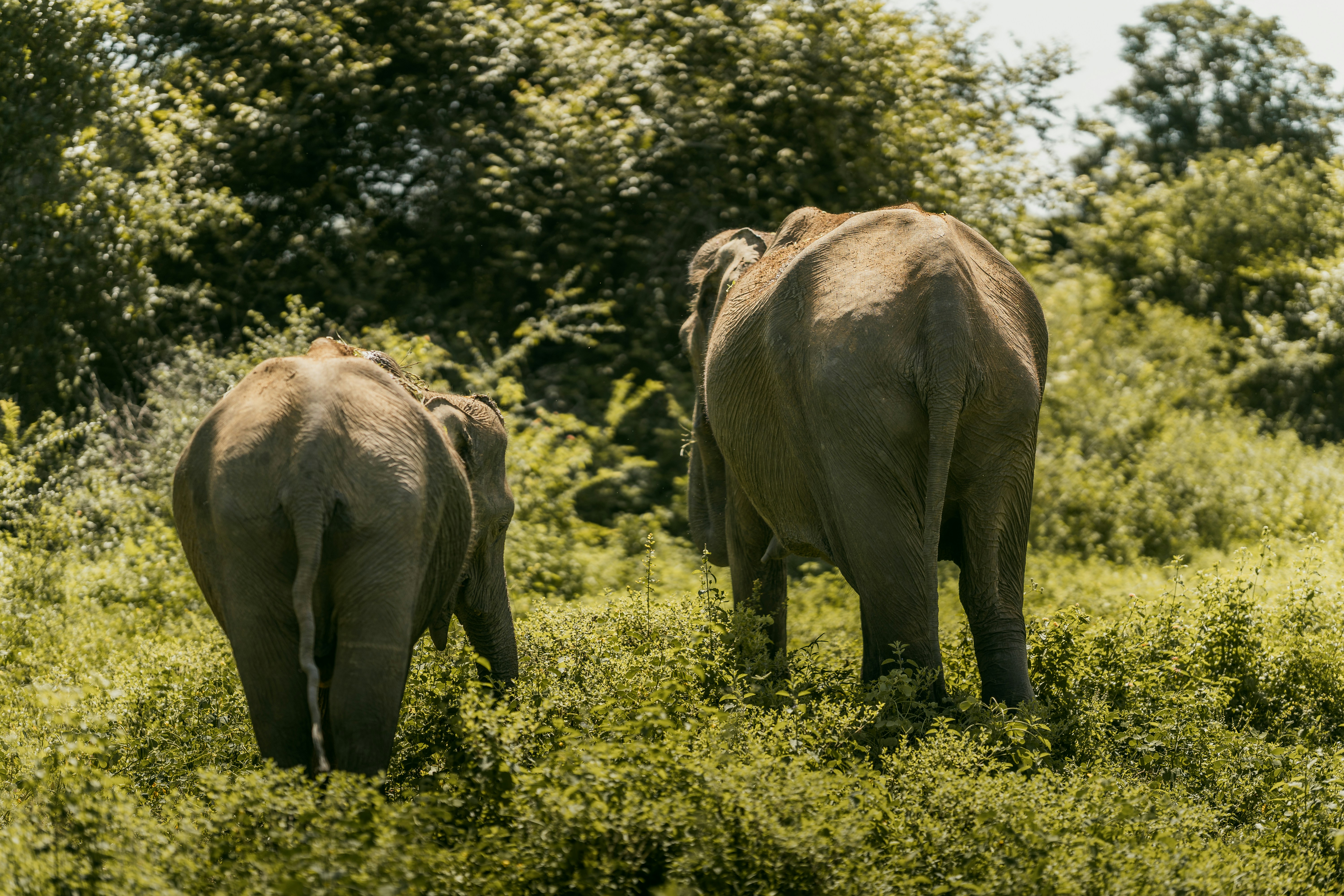 Photo by jakubklucky