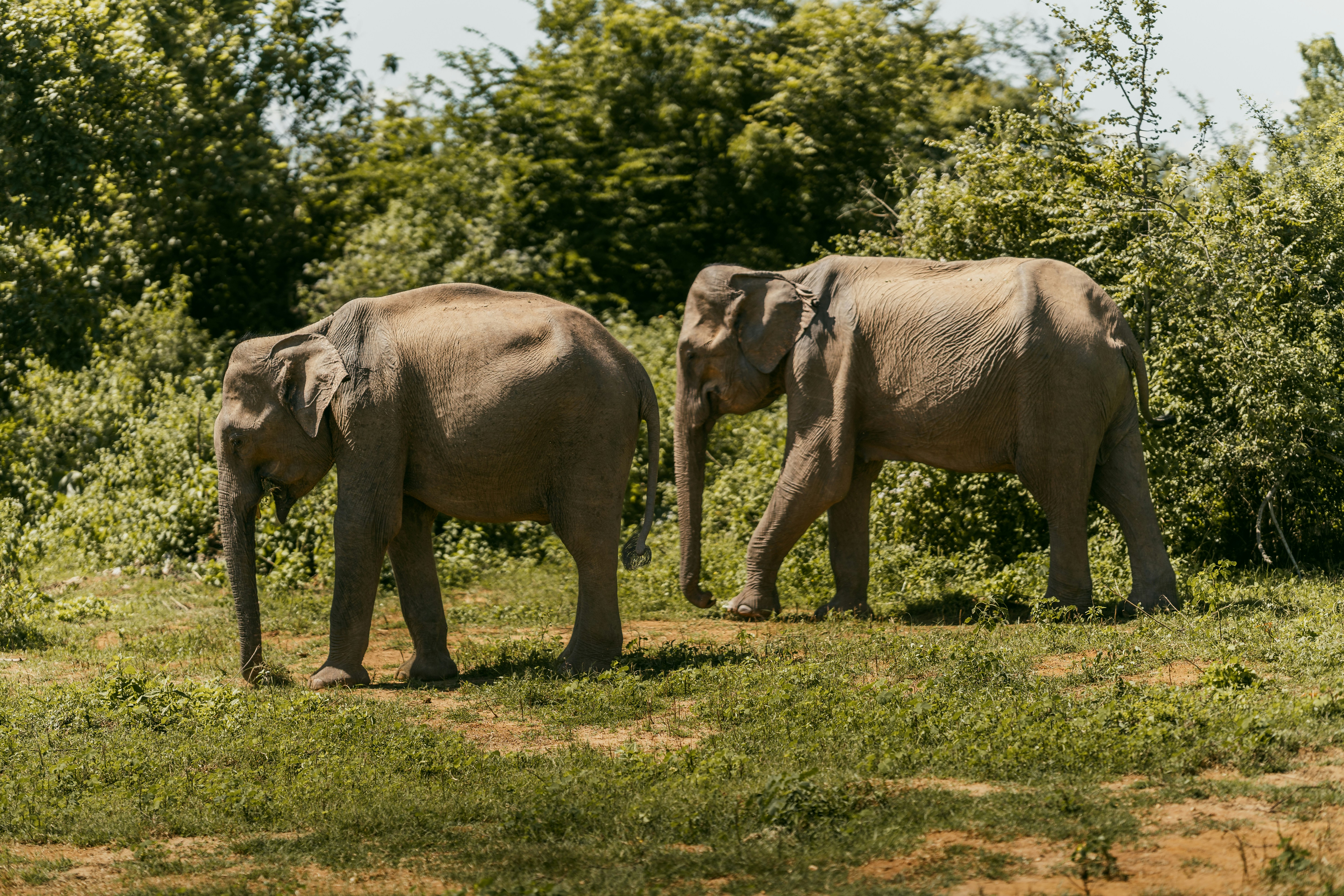 Photo by jakubklucky