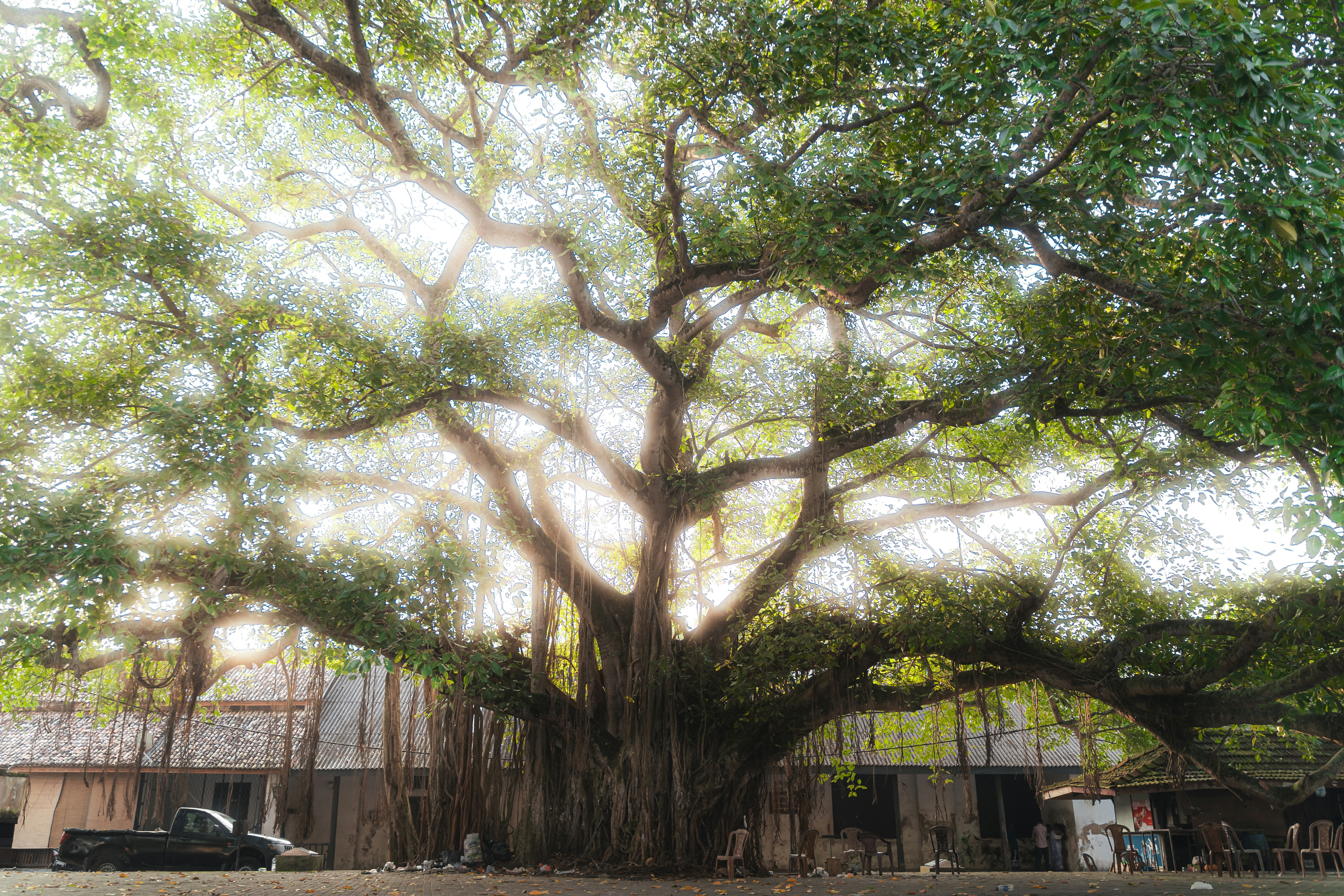 Photo by jakubklucky