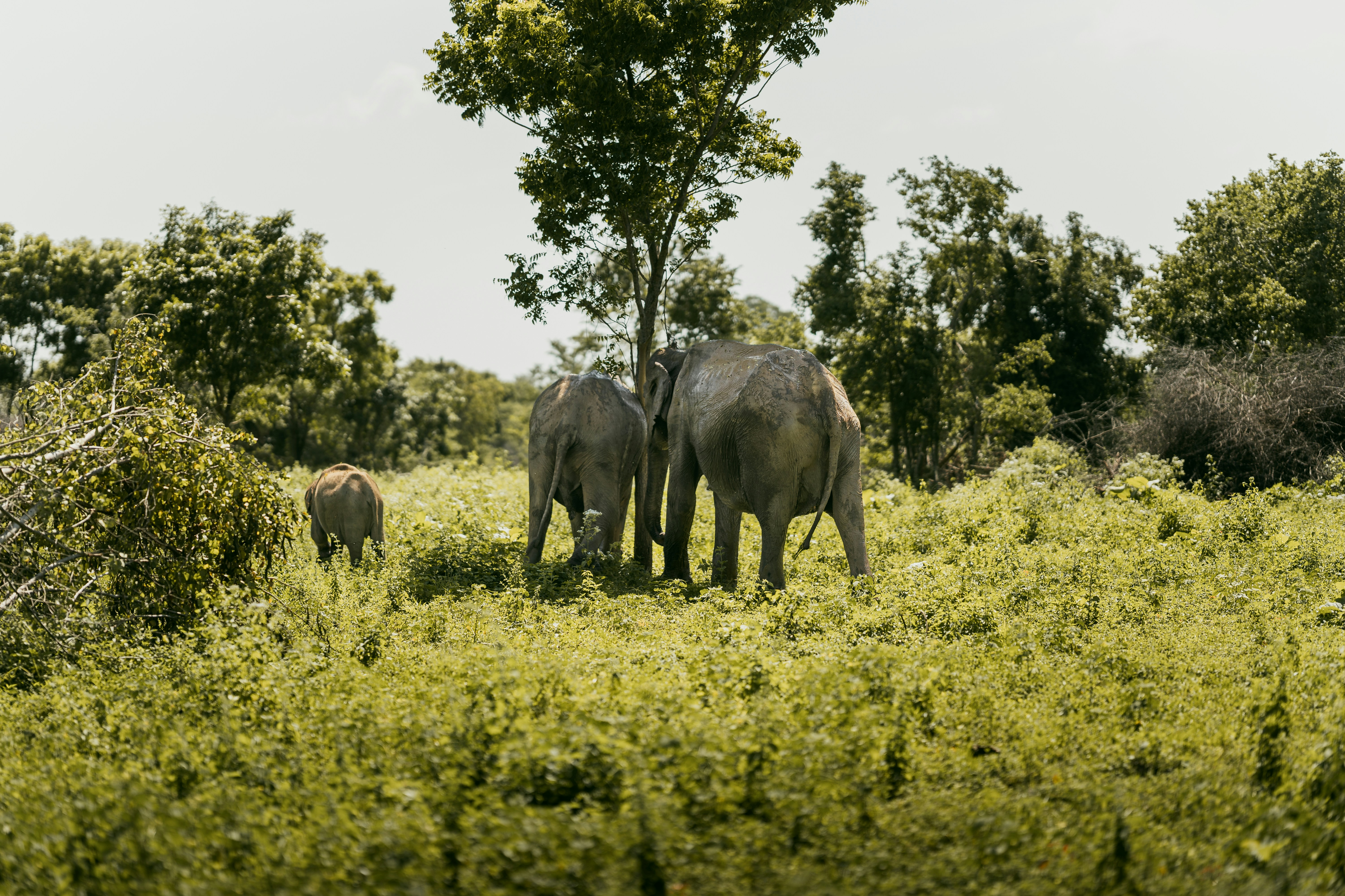 Photo by jakubklucky