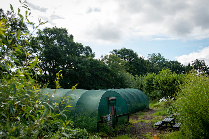 Sustainable greenhouse horticulture surrounded by greenery