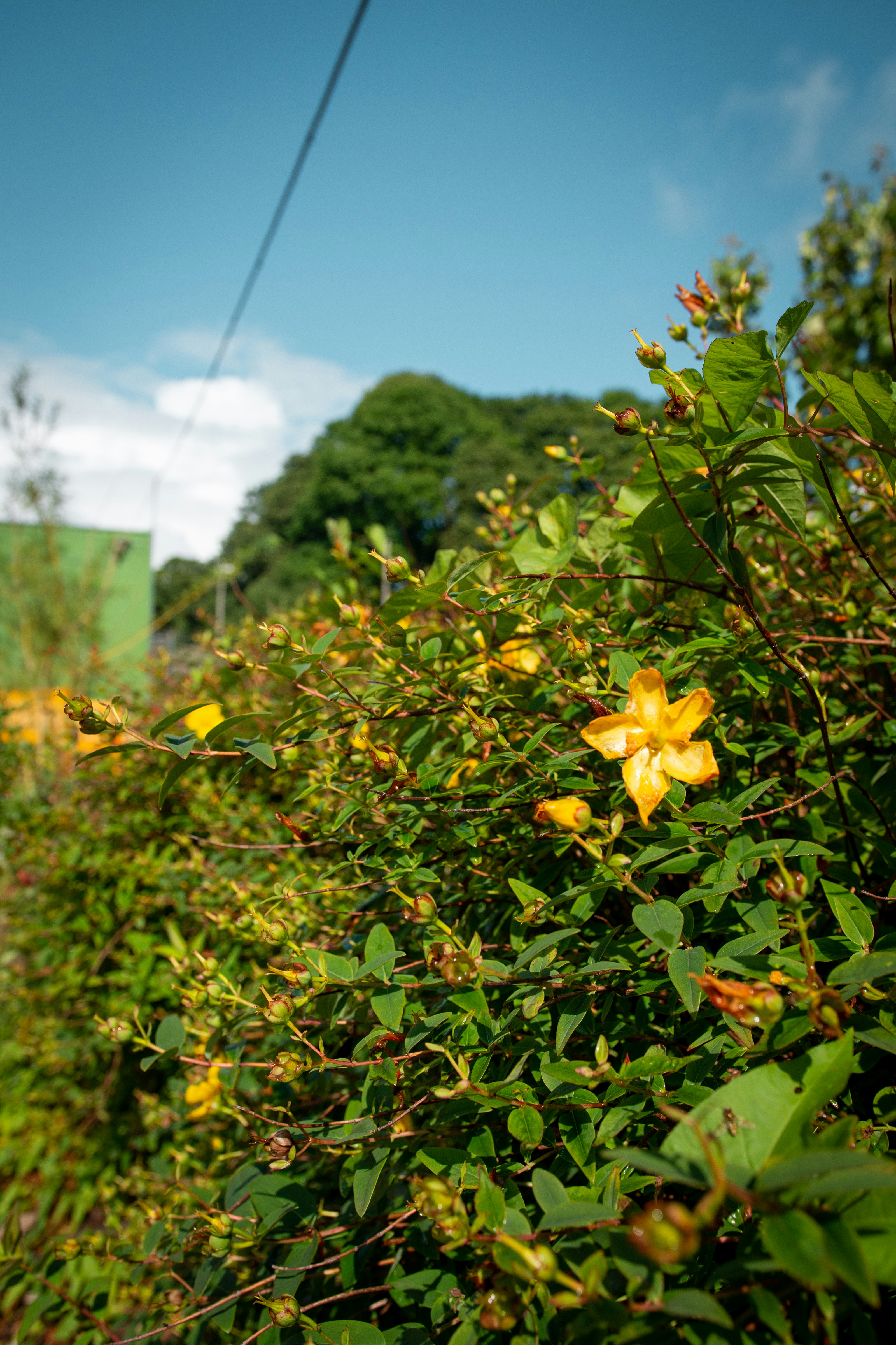 Photo by himattbaker