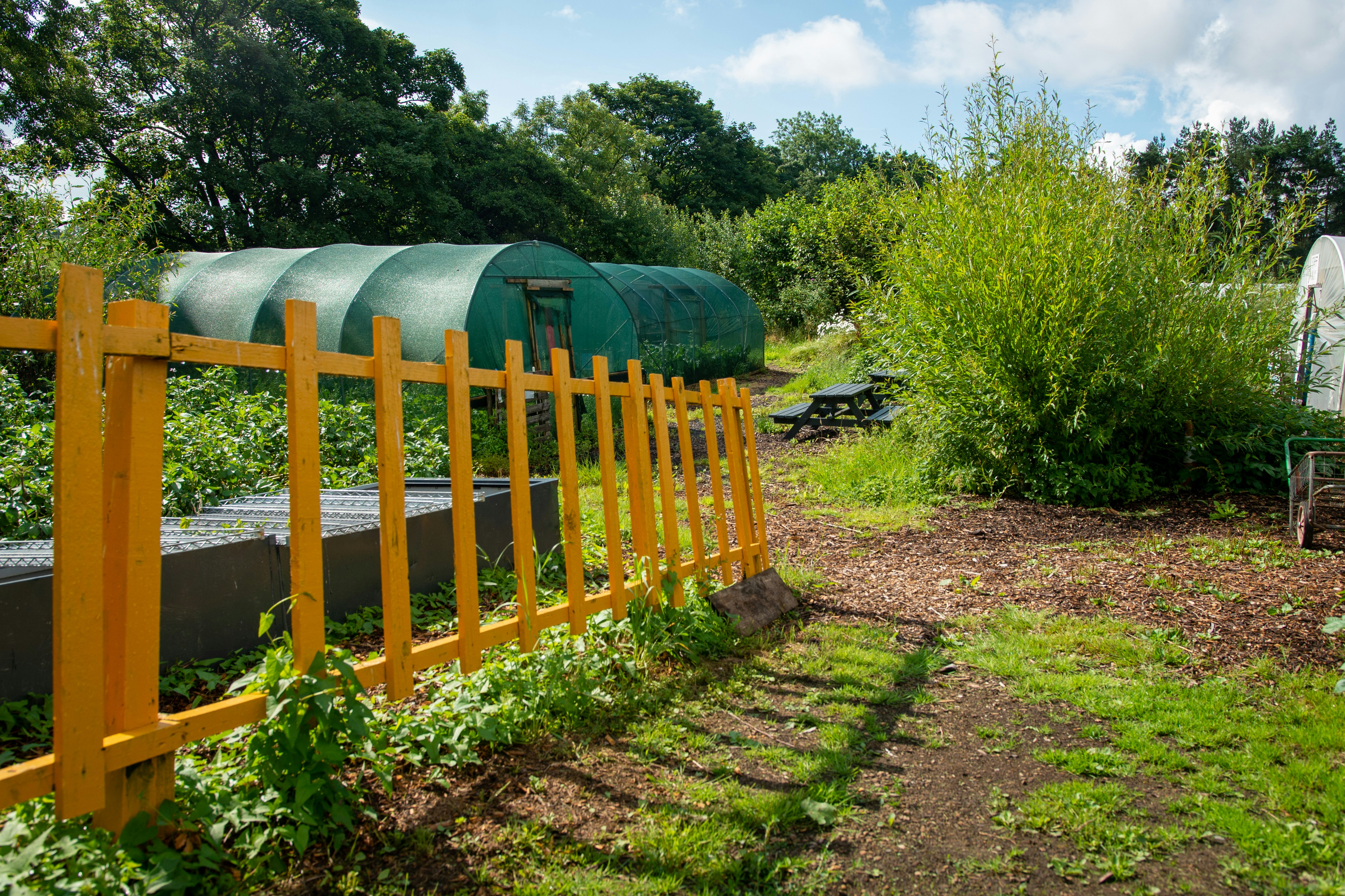 Greenhouses and garden with yellow fence in sunlight