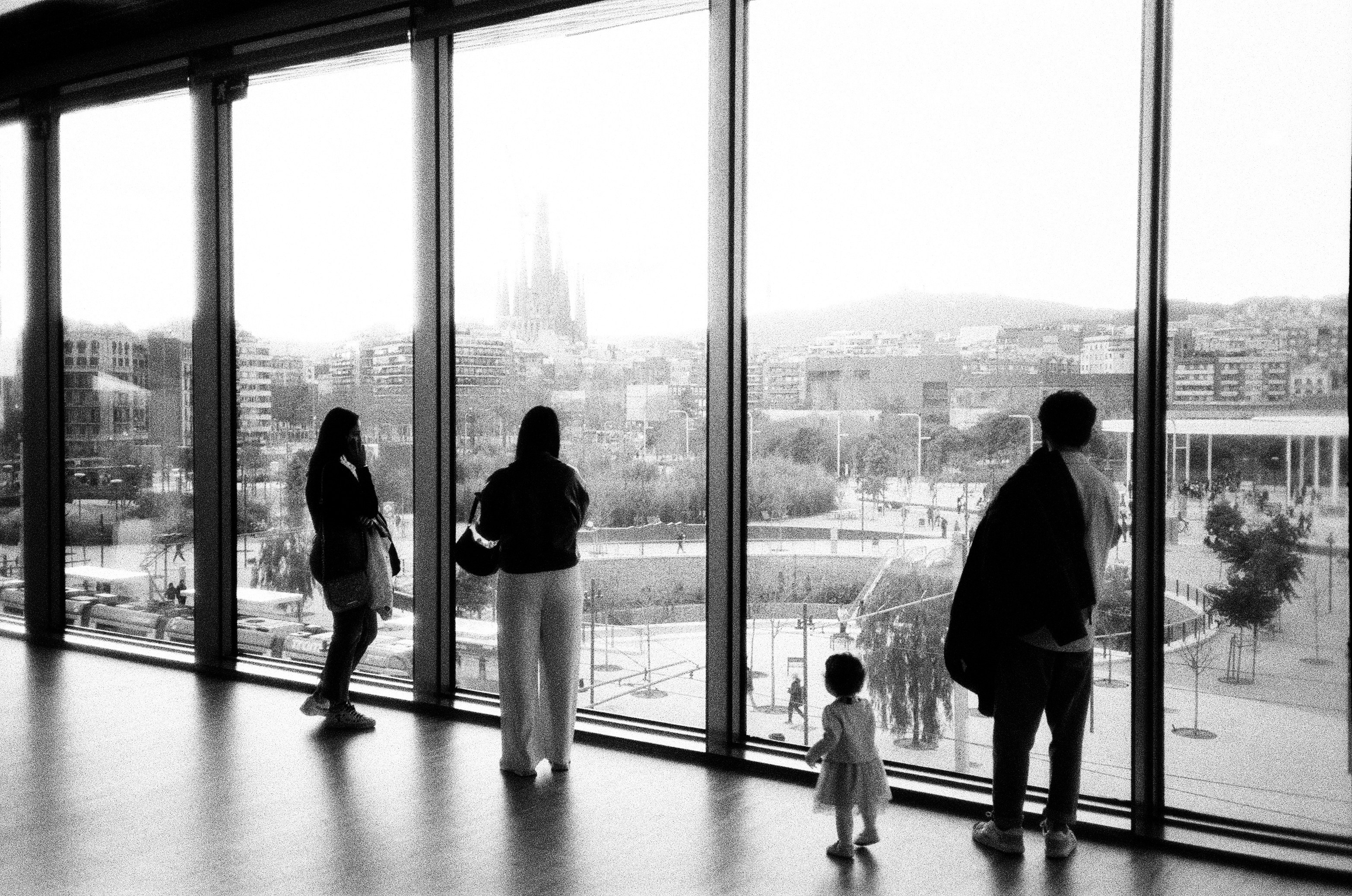 People looking out large windows at a cityscape