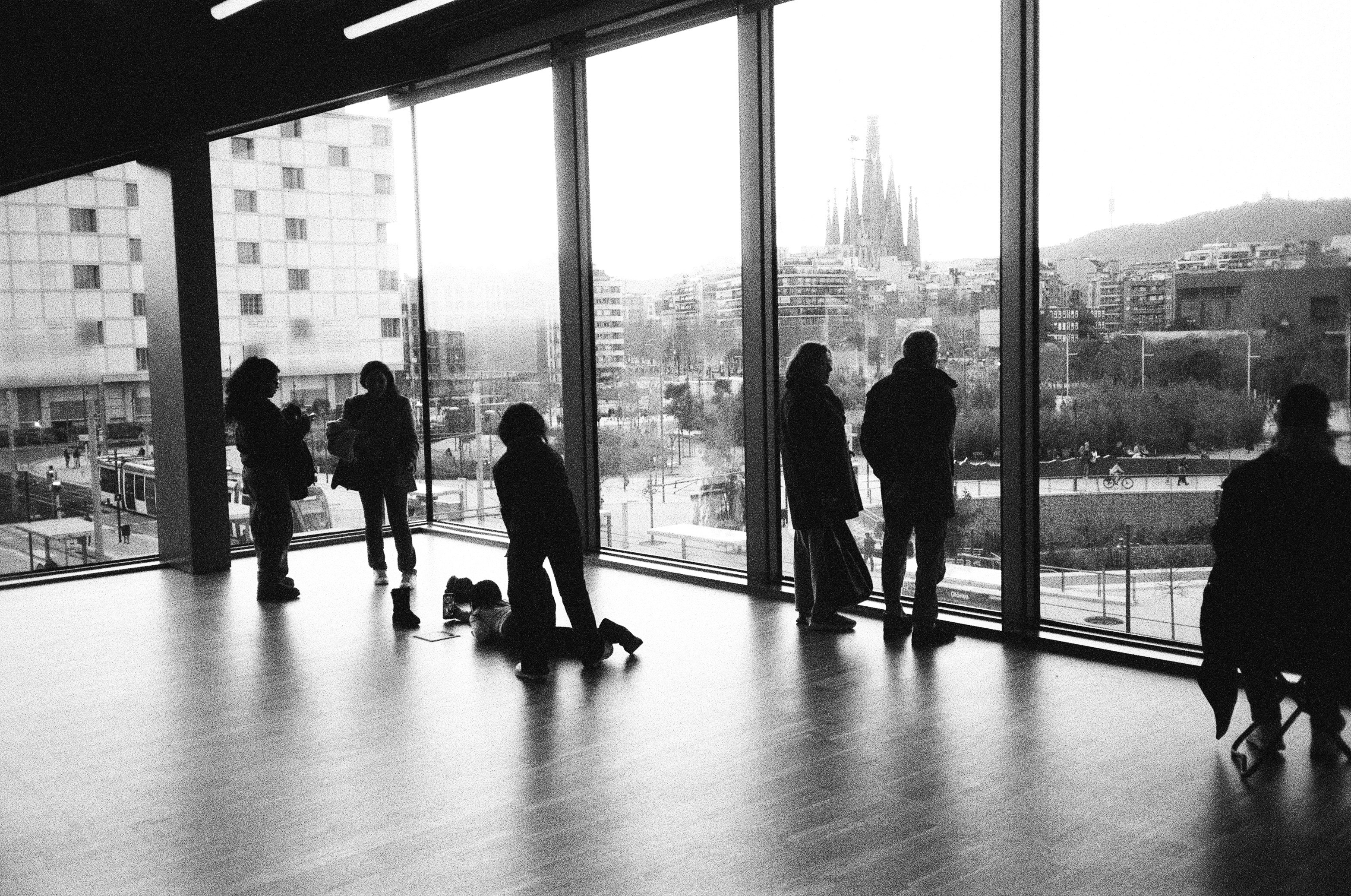 Silhouettes of people looking out large windows at city skyline.