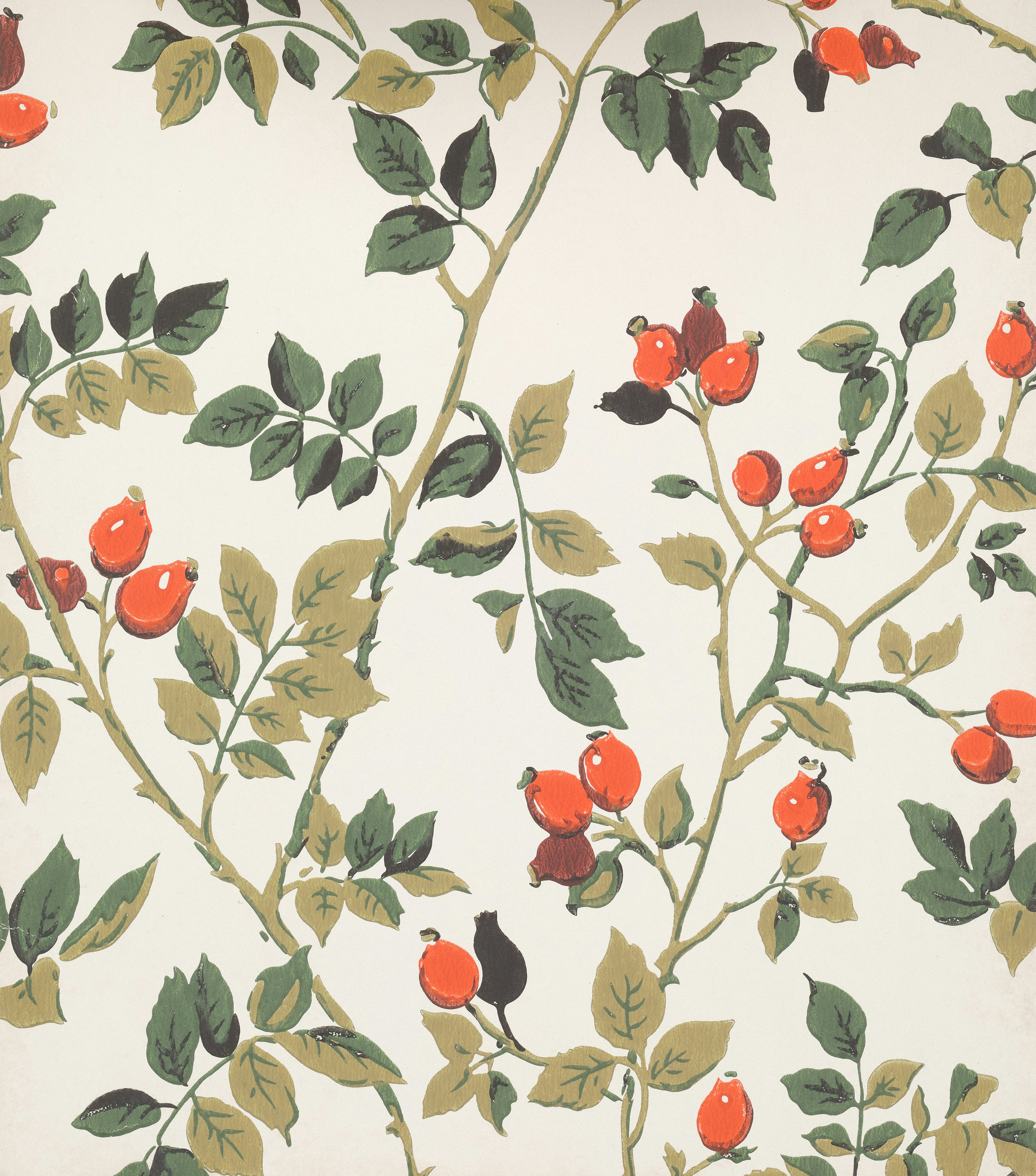 vintage botanical wallpaper, wallpaper, Victorian Indoor Plants: Bring Elegance to Your Home 6