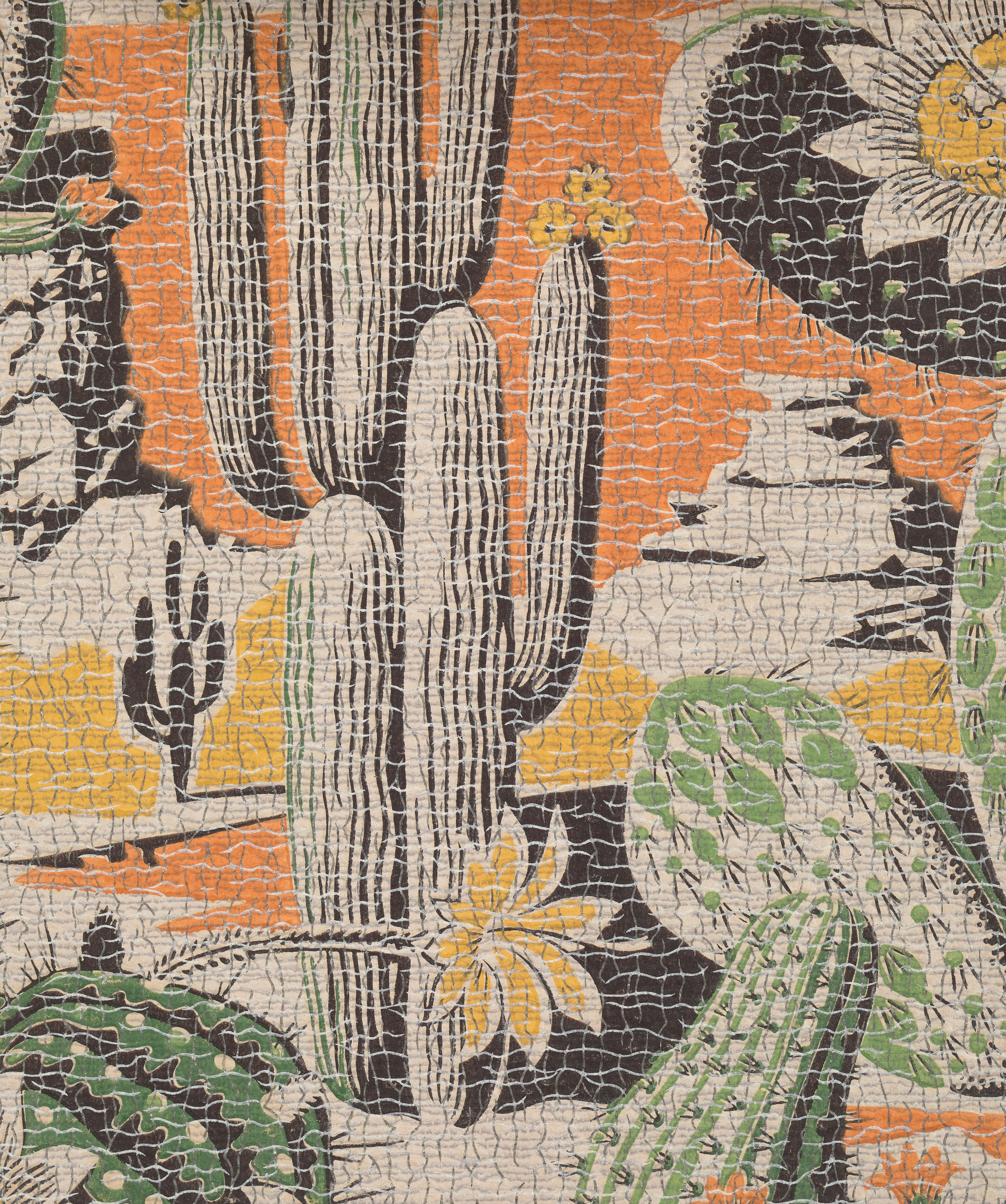 Paesaggio desertico con saguaro e altri cactus.