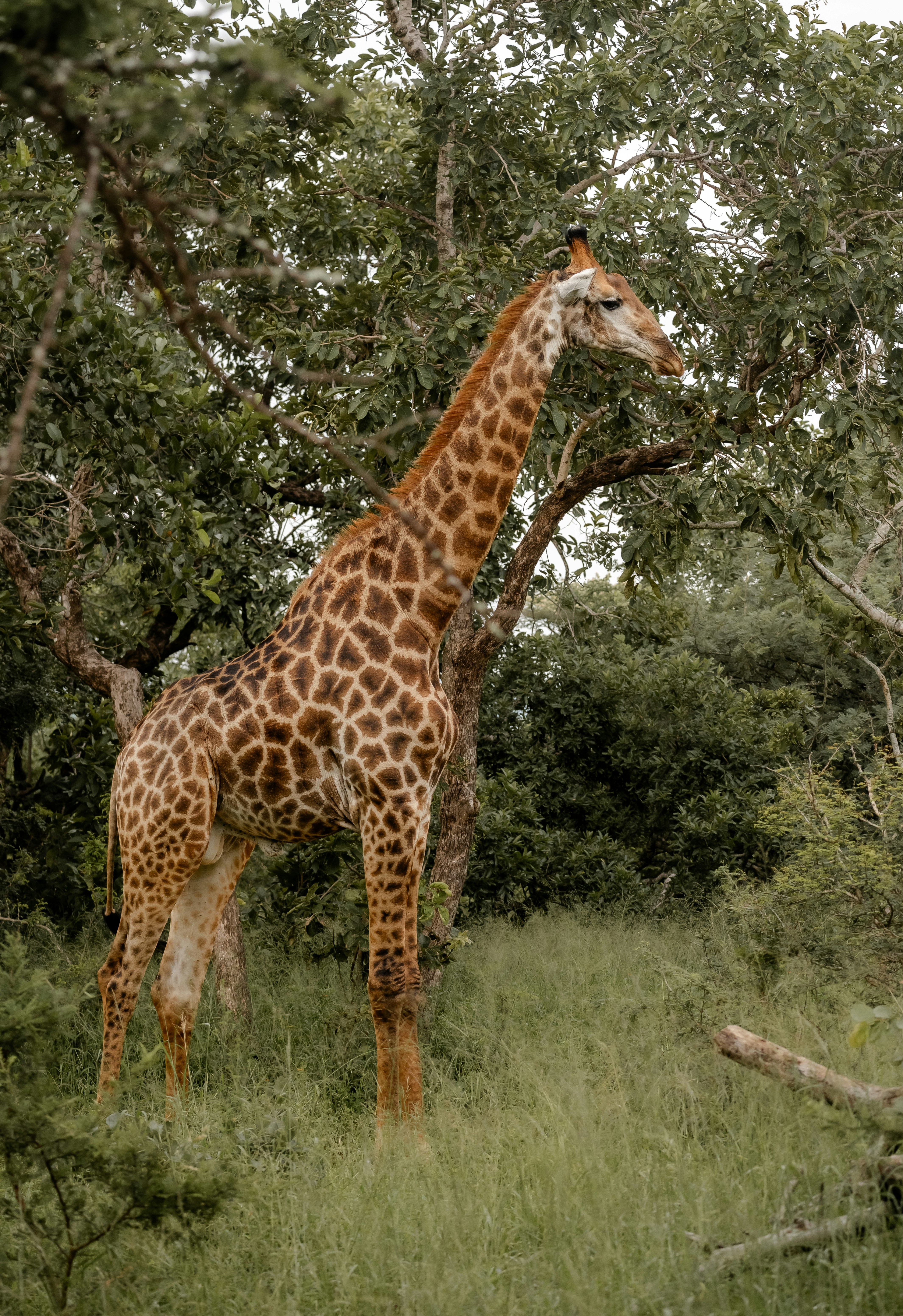 Photo by xandrovandewalle