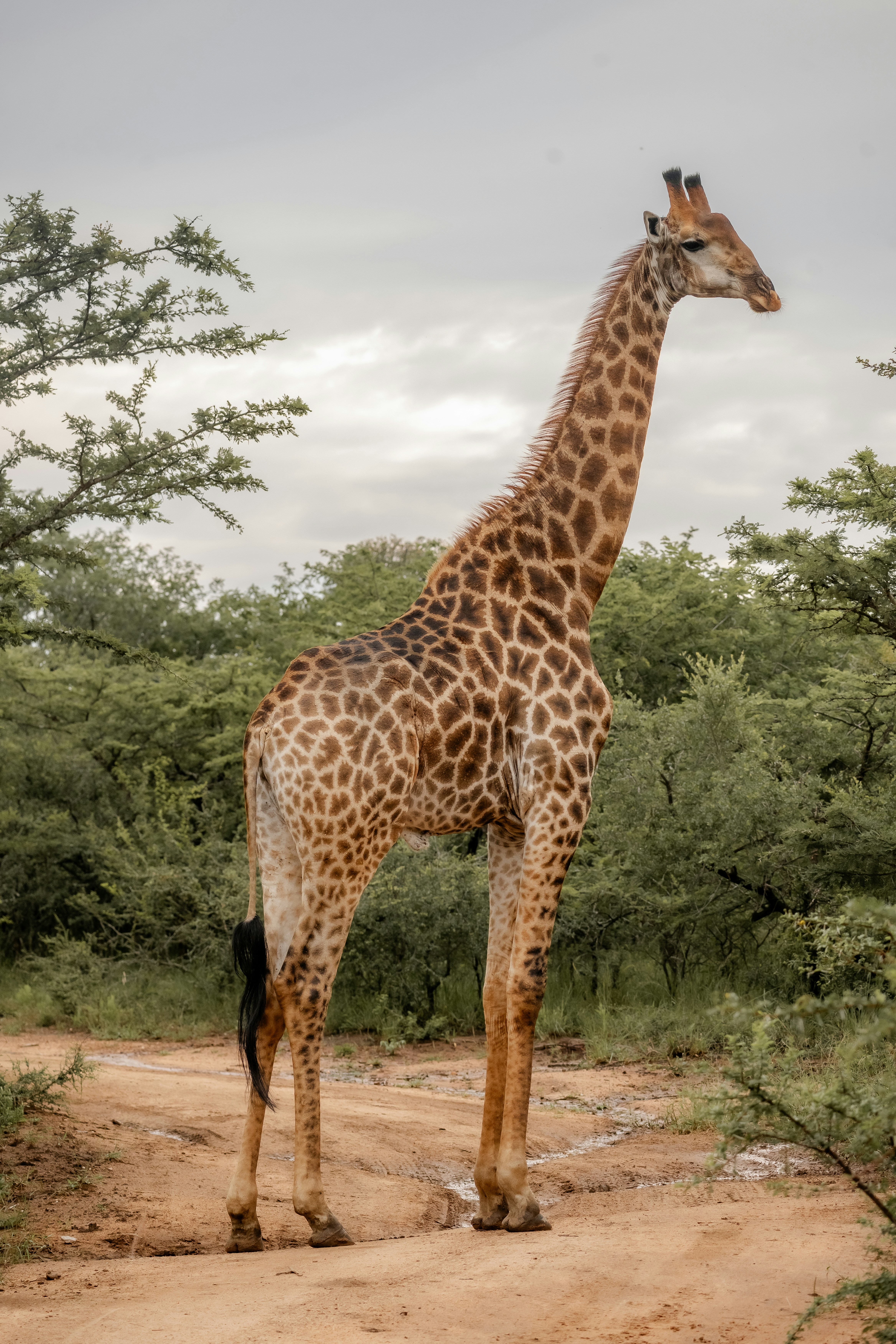 Photo by xandrovandewalle