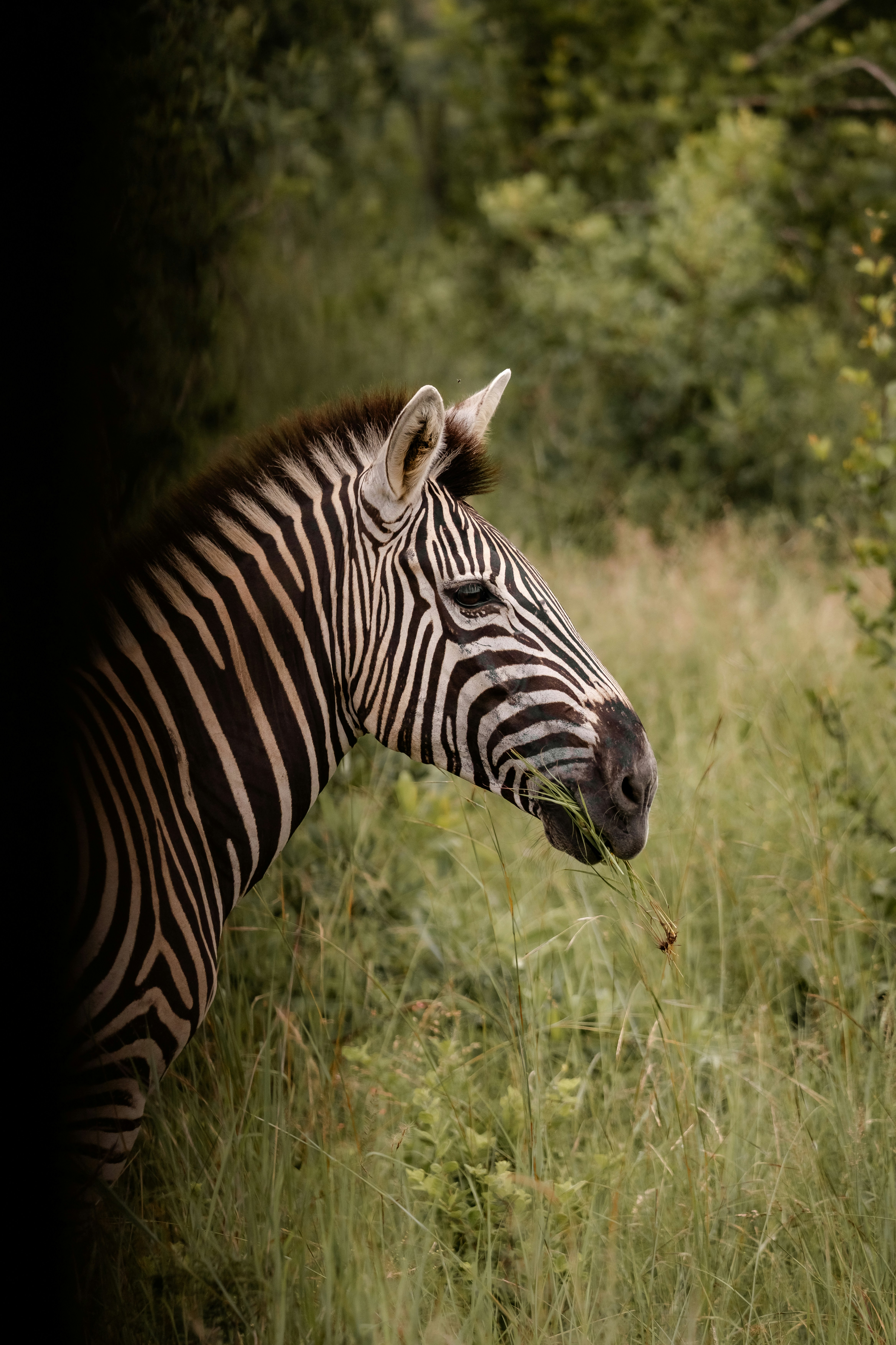 Photo by xandrovandewalle