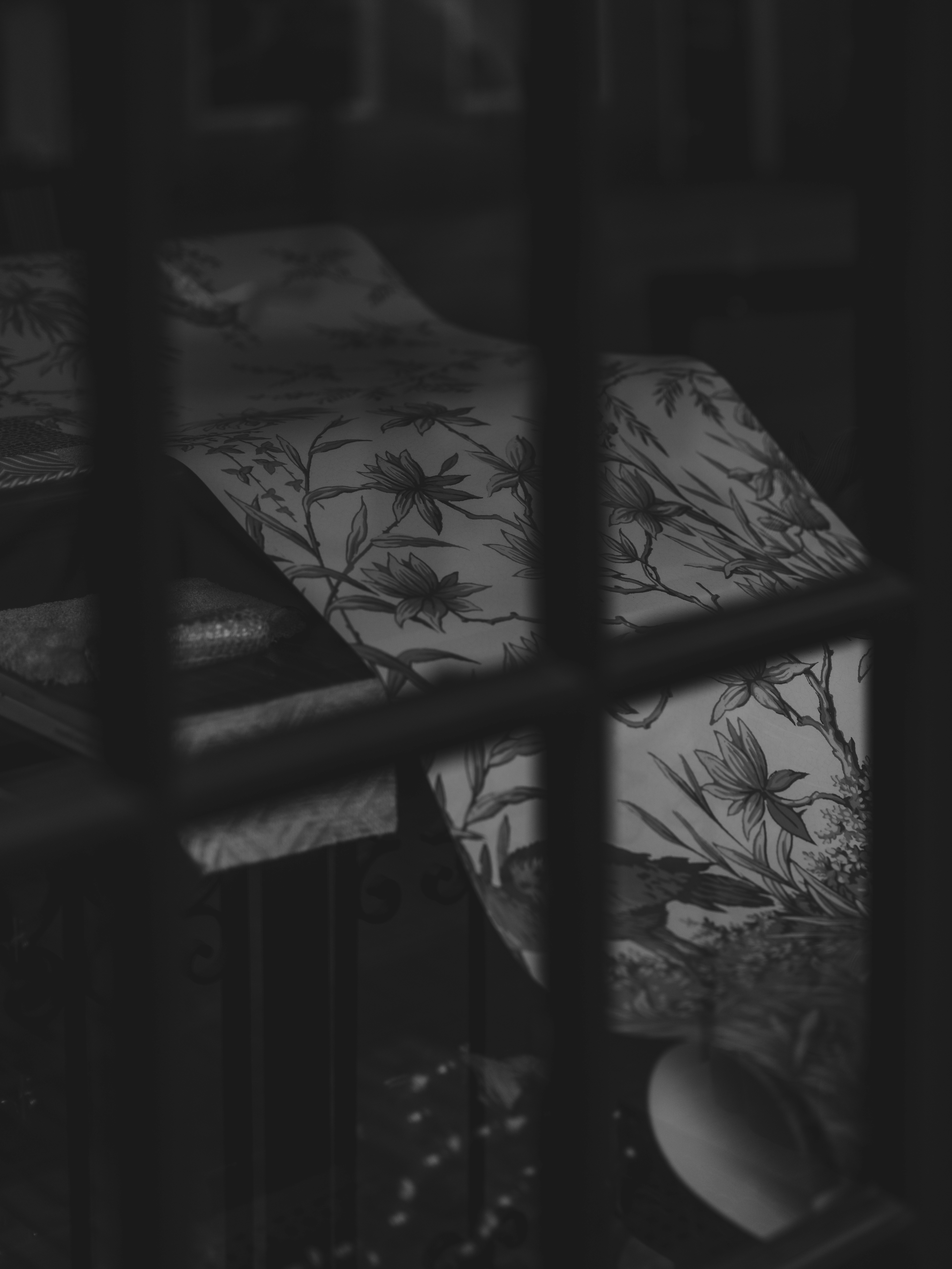 Photo by haberdoedas