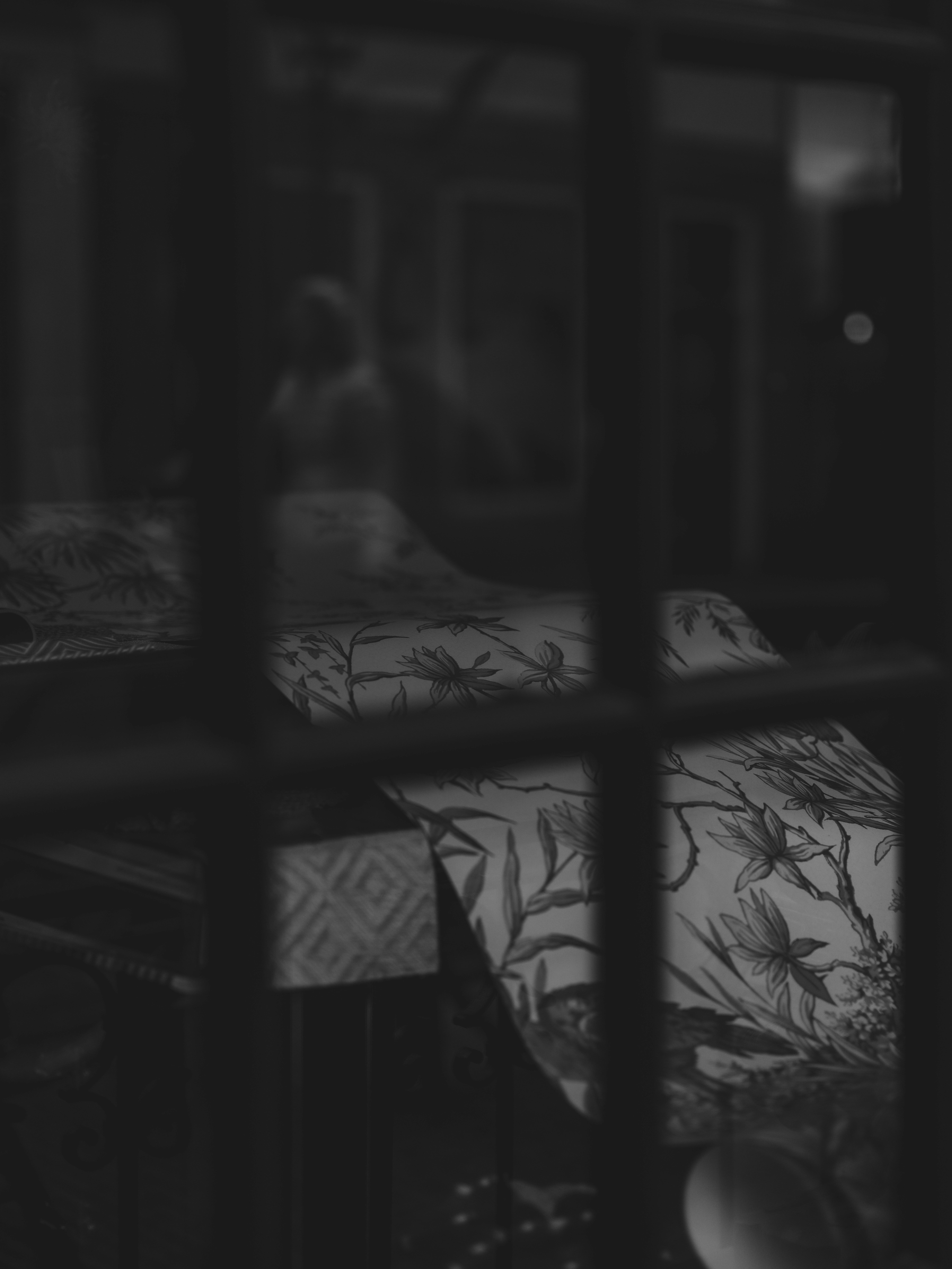 Photo by haberdoedas