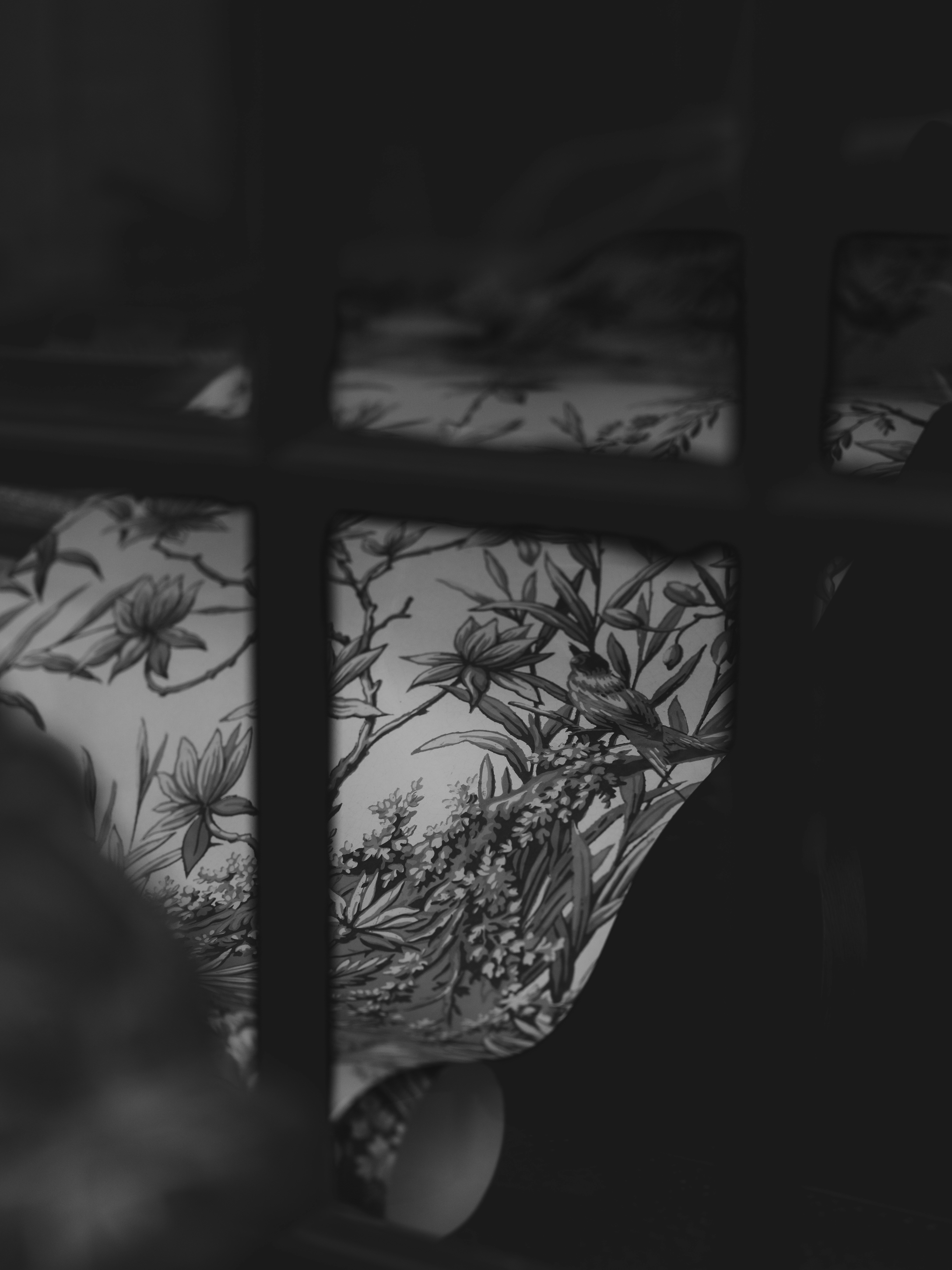 Black and white floral pattern seen through window