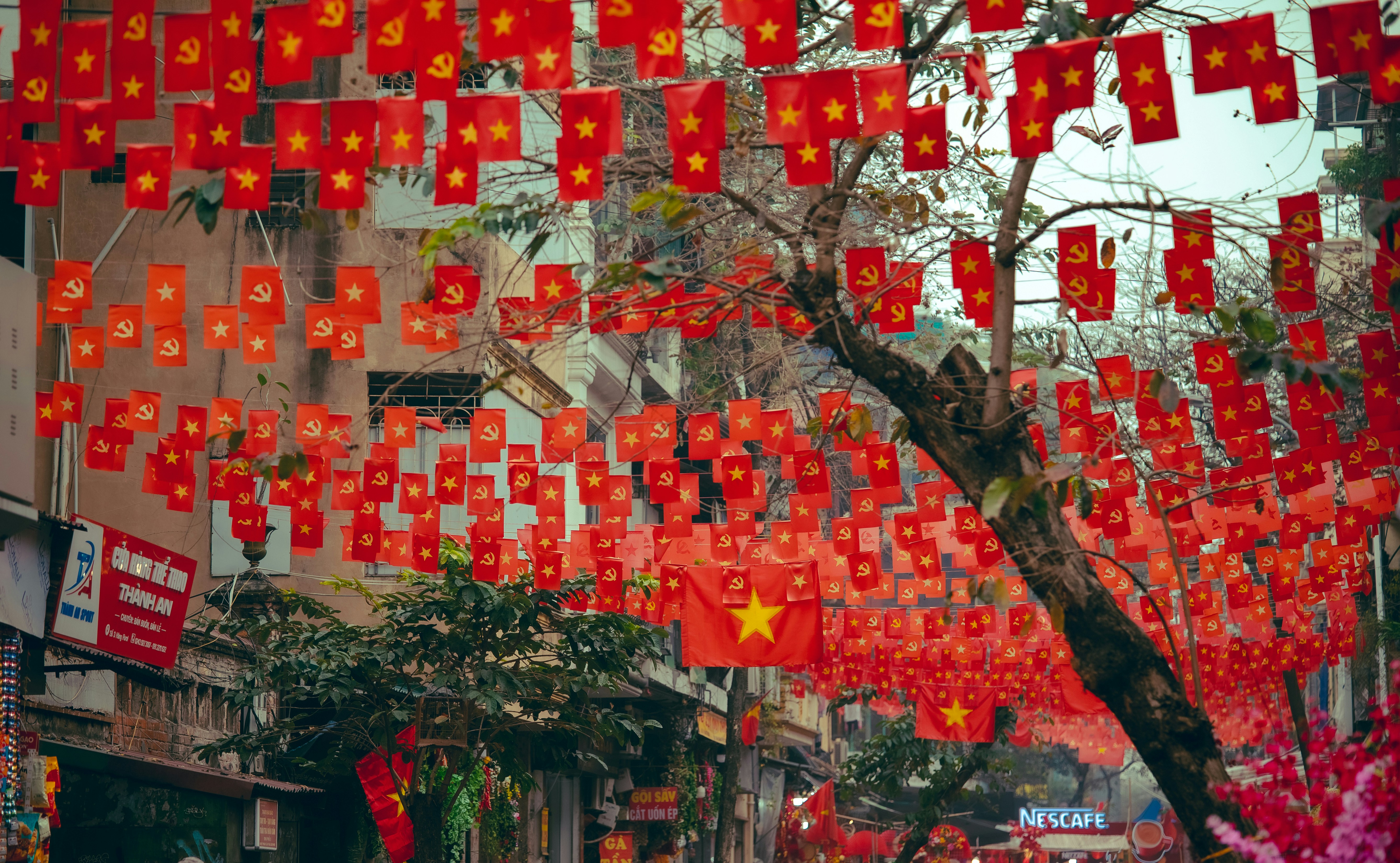 Red flags with yellow stars hanging from trees on street